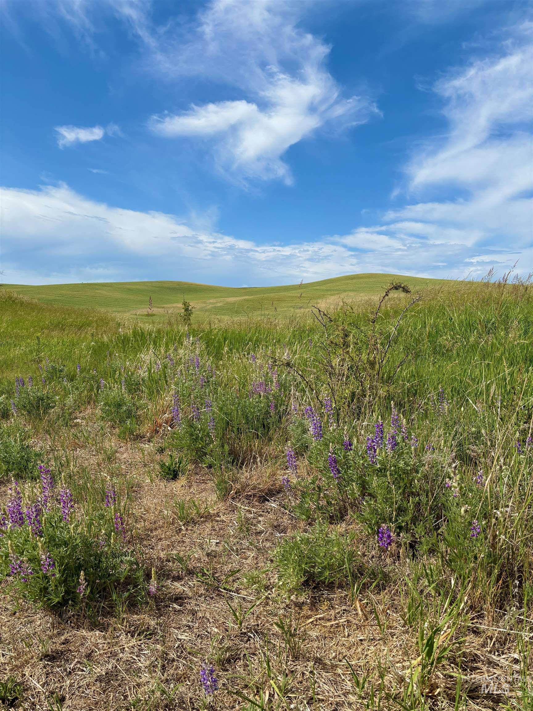 View of undeveloped land featuring rural landscape