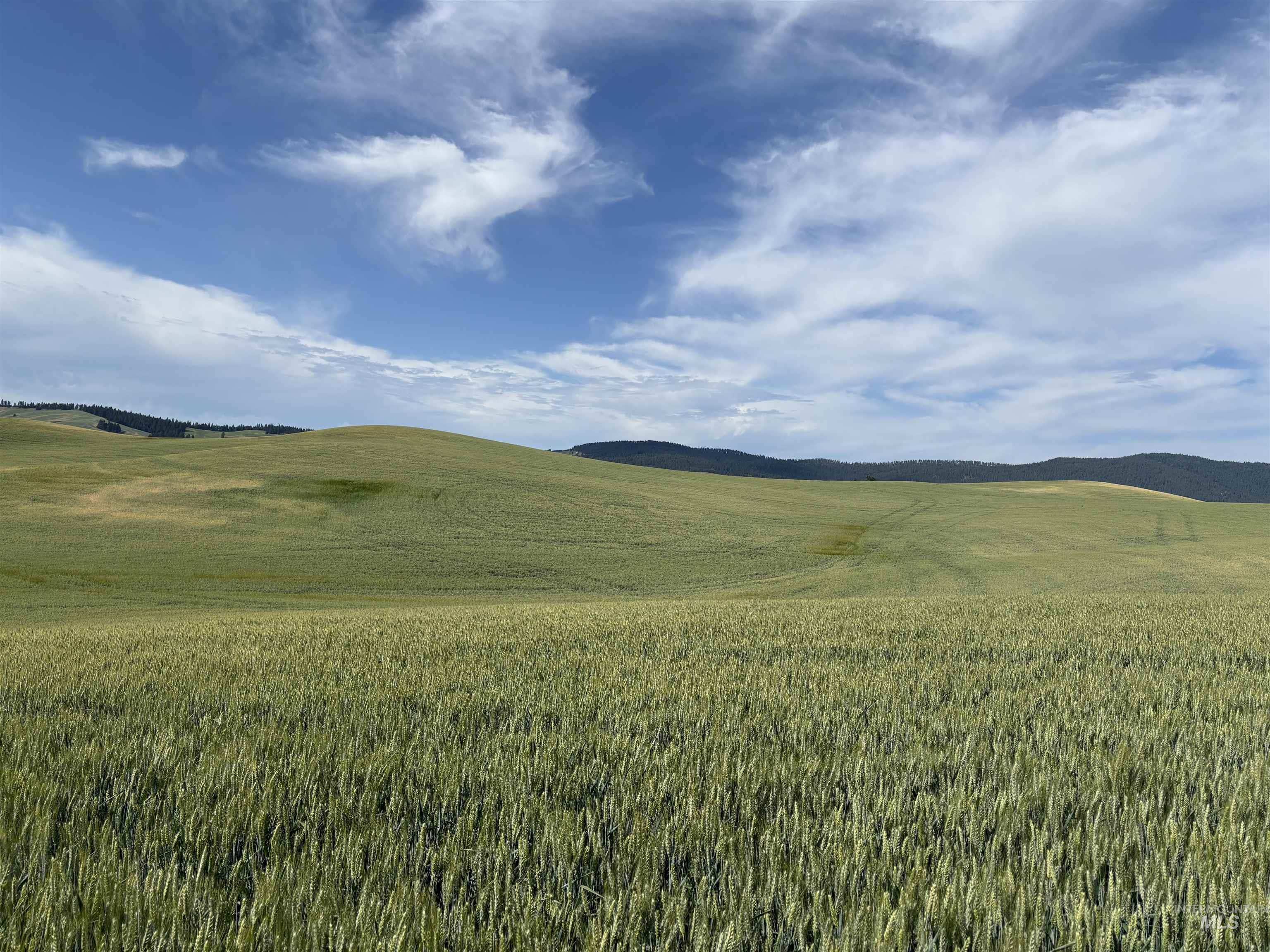 View of mountain background