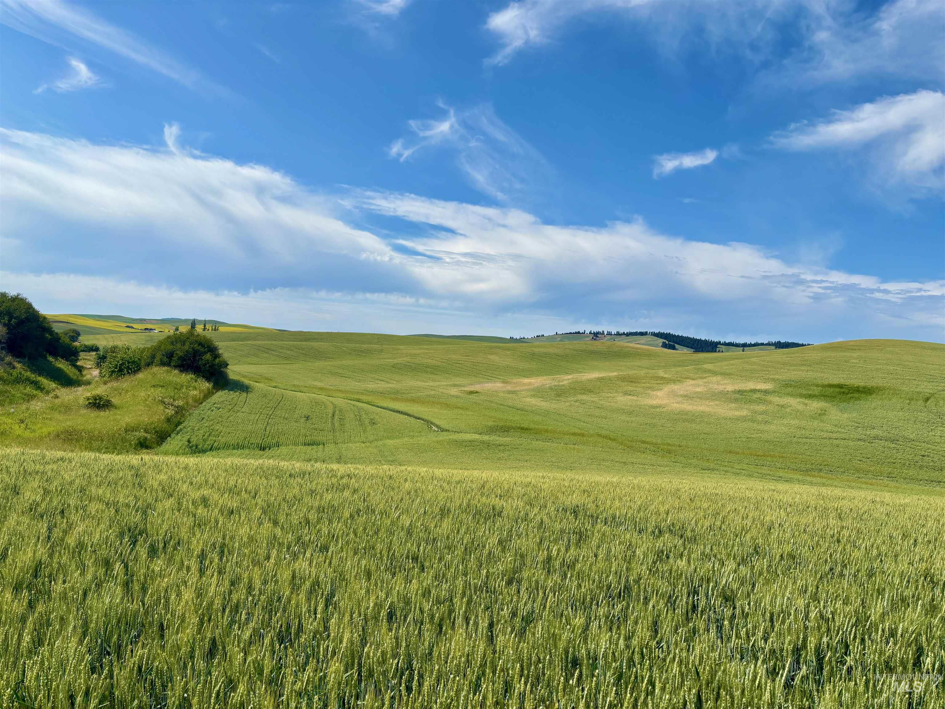 Surrounding community with a rural view