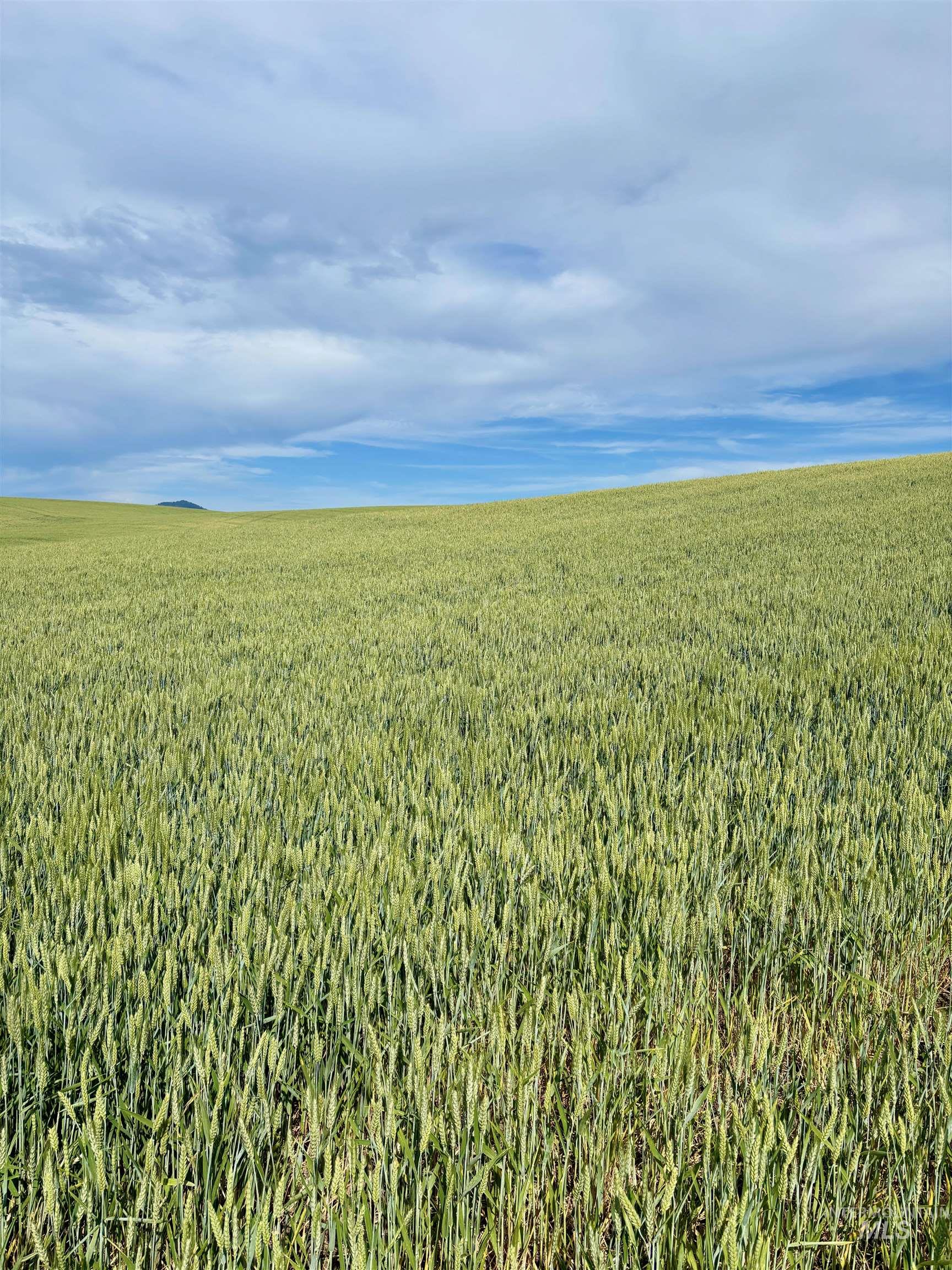 View of nature