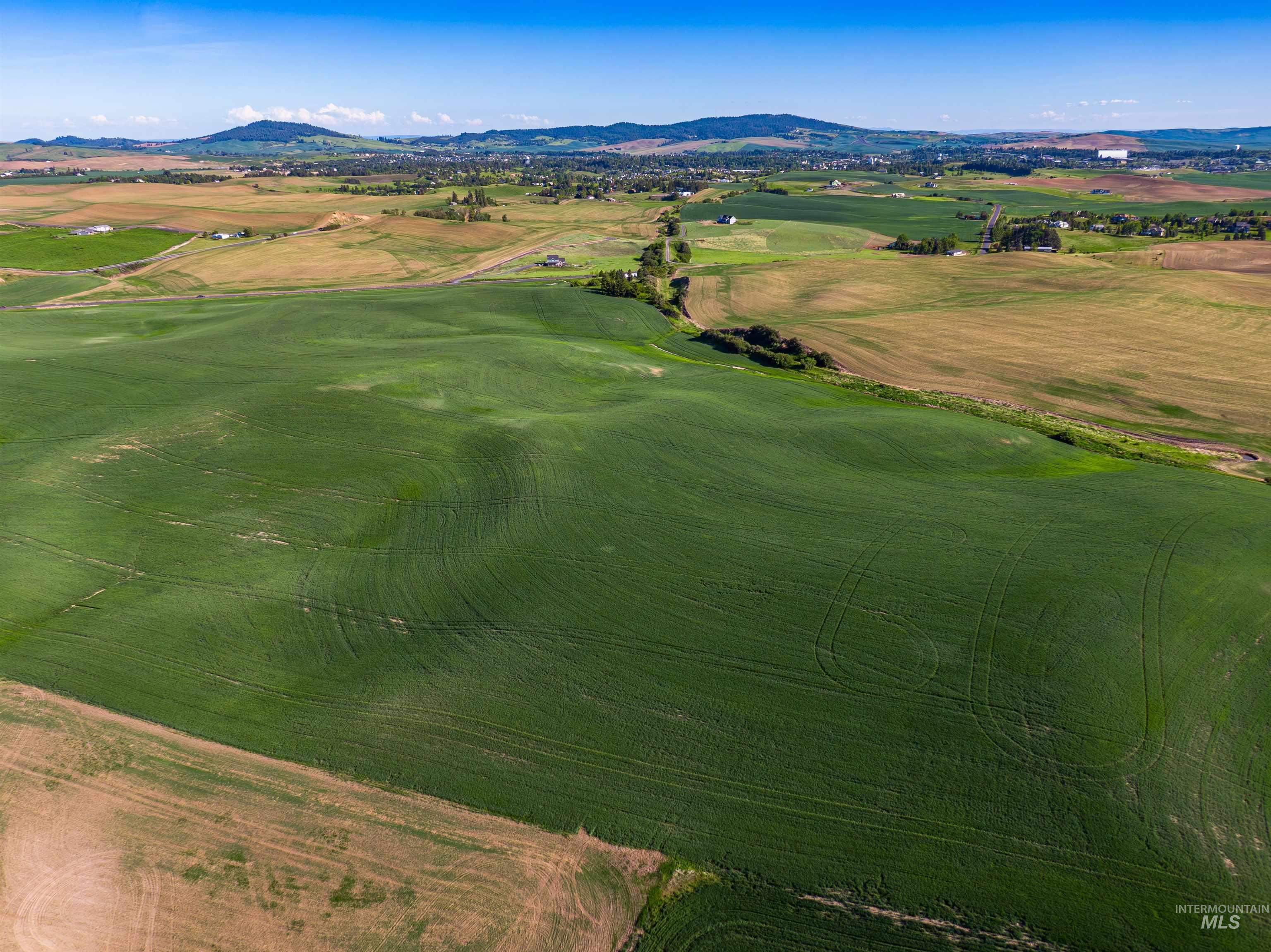 Aerial view of a mountainous background and a golf course