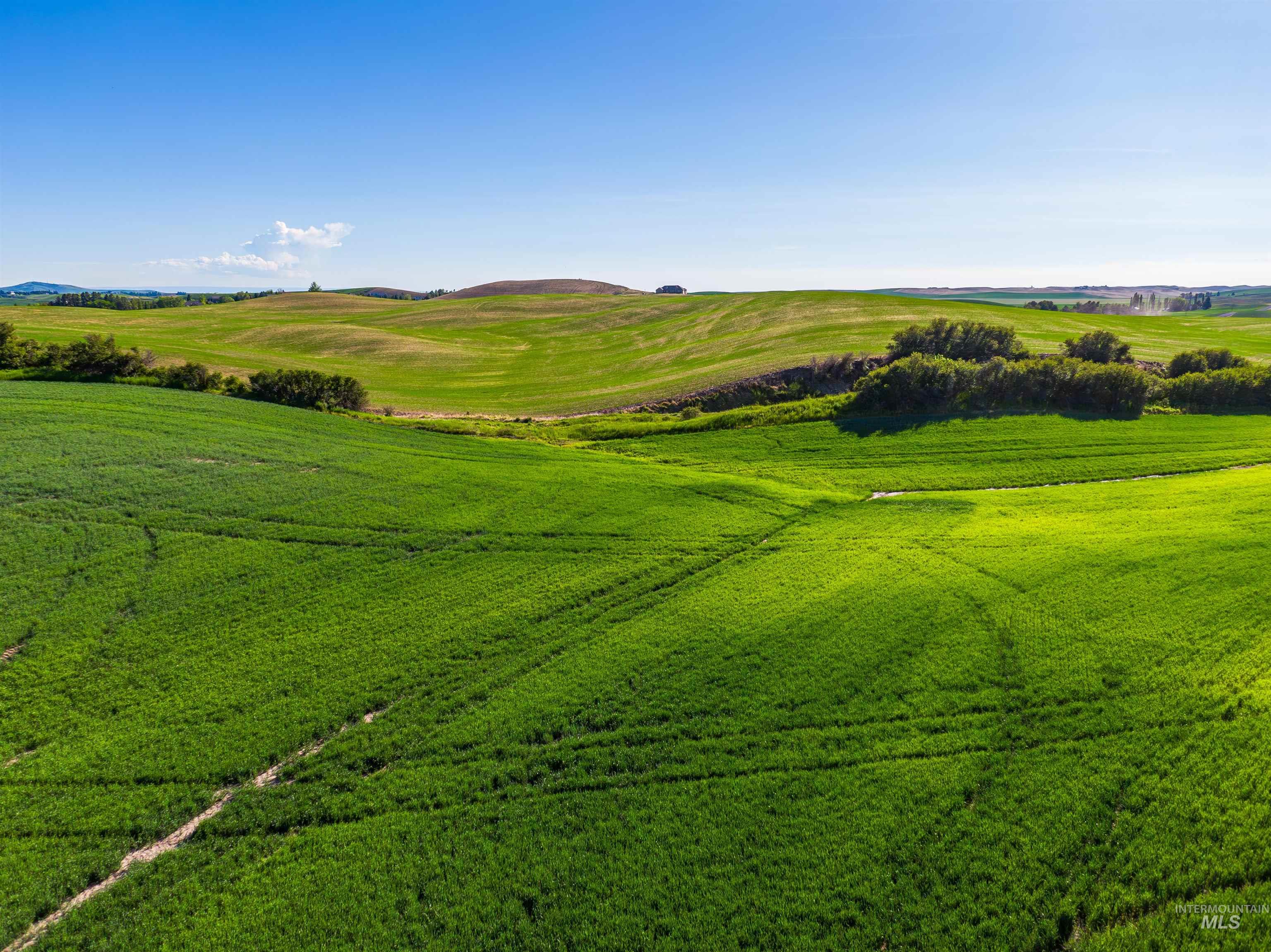 Surrounding community with a view of rural / pastoral area