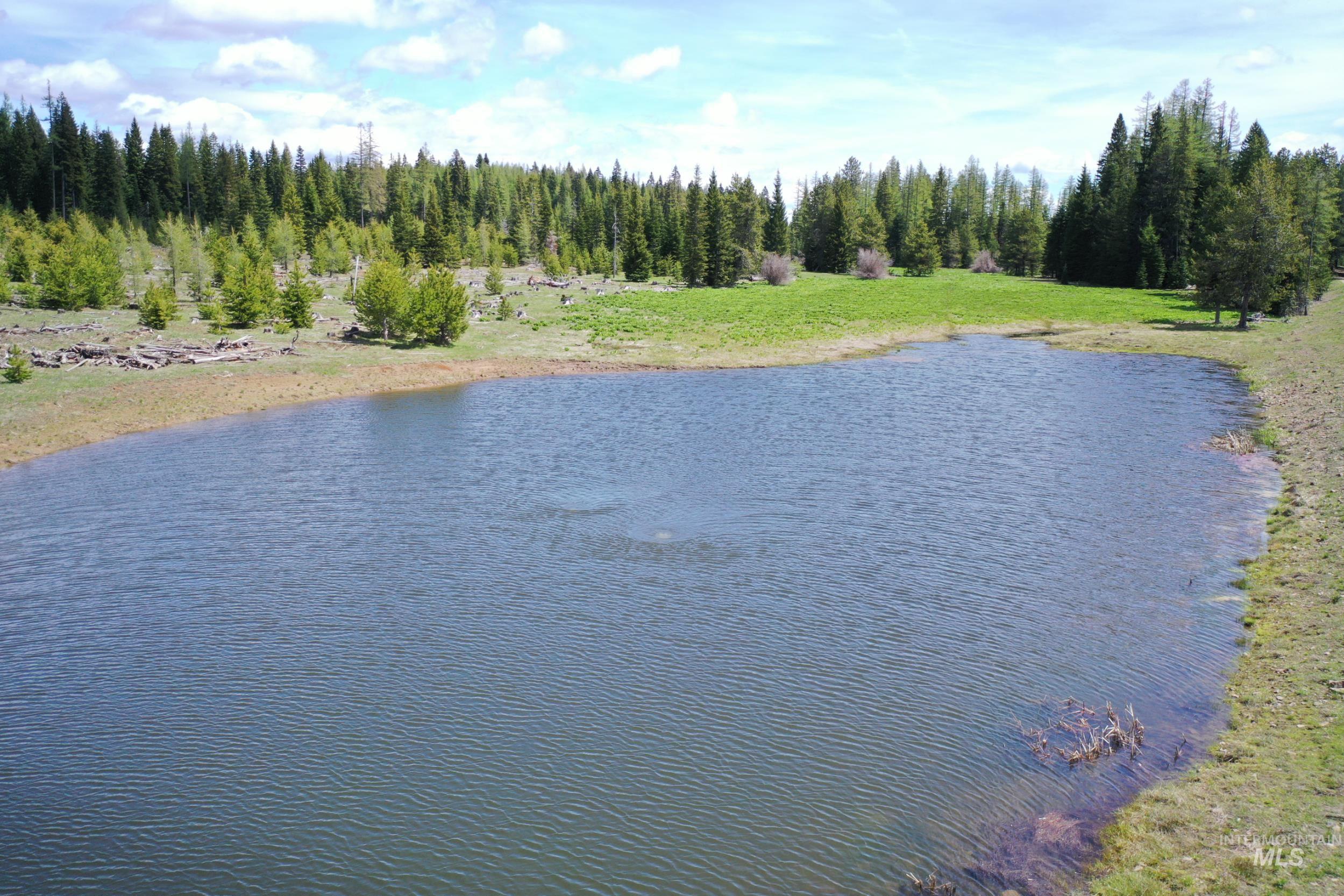 79250 Lookout Mountain Rd, Elgin, Oregon 97827, 6 Bedrooms, 3 Bathrooms, Farm & Ranch For Sale, Price $4,950,000, 98953660