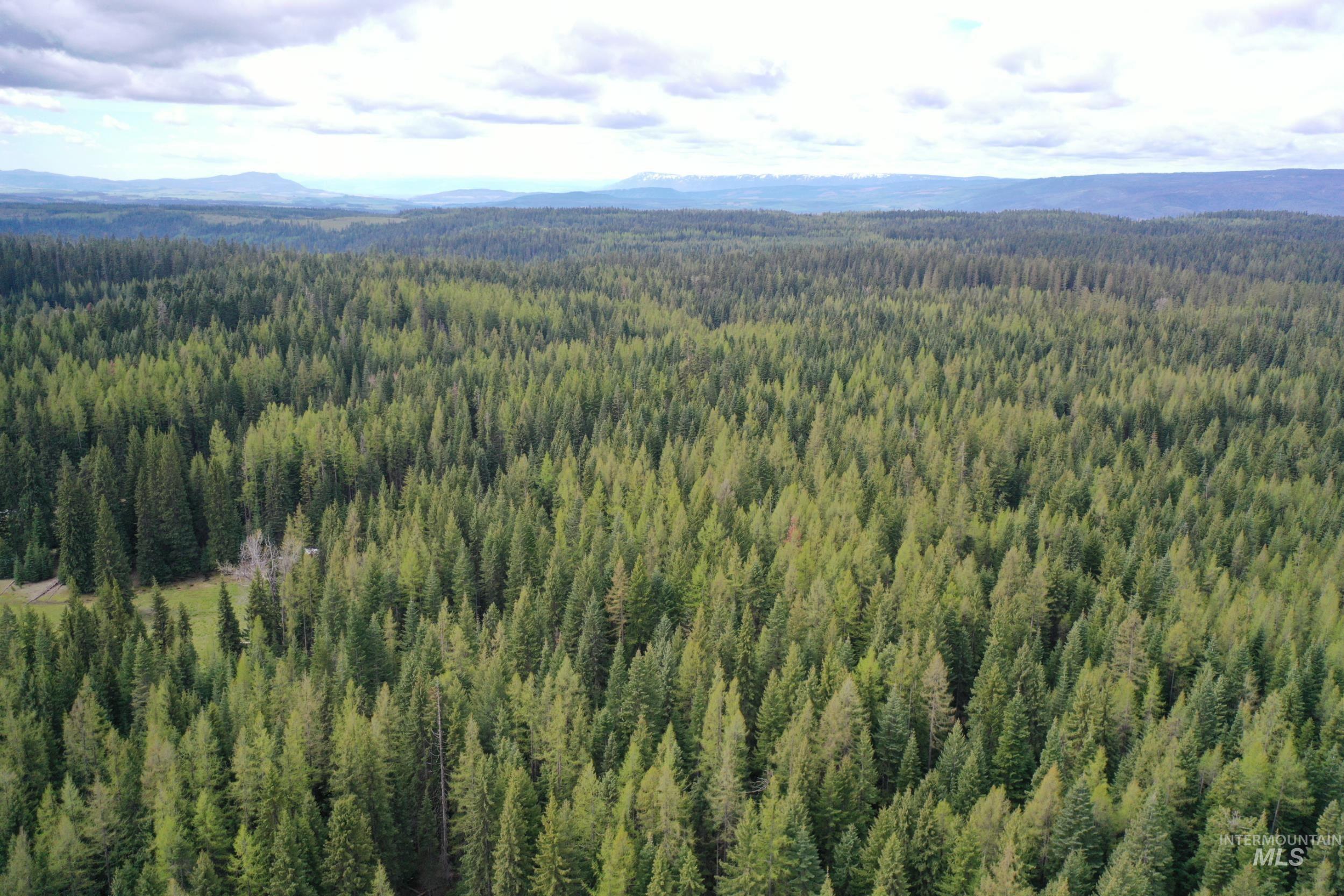79250 Lookout Mountain Rd, Elgin, Oregon 97827, 6 Bedrooms, 3 Bathrooms, Farm & Ranch For Sale, Price $4,950,000, 98953660