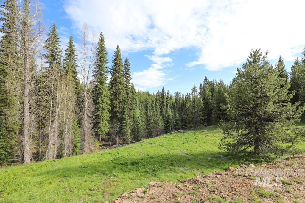 79250 Lookout Mountain Rd, Elgin, Oregon 97827, 6 Bedrooms, 3 Bathrooms, Farm & Ranch For Sale, Price $4,950,000, 98953660