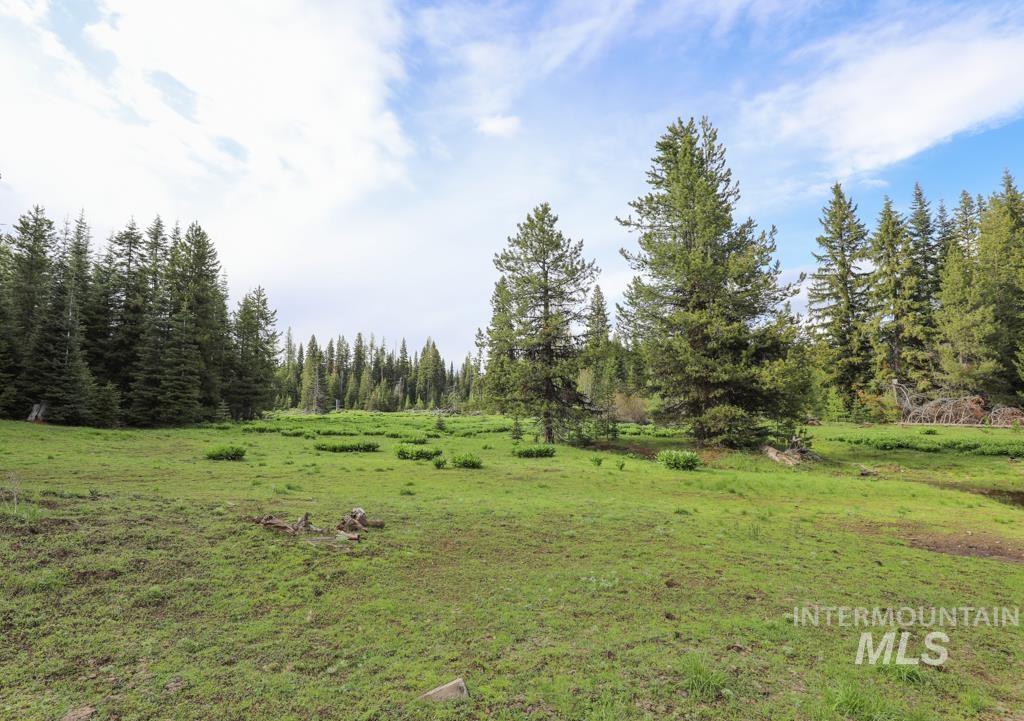 79250 Lookout Mountain Rd, Elgin, Oregon 97827, 6 Bedrooms, 3 Bathrooms, Farm & Ranch For Sale, Price $4,950,000, 98953660
