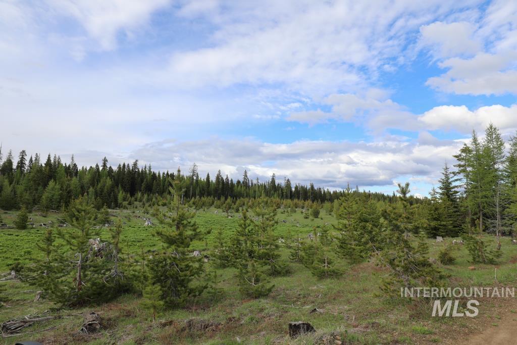 79250 Lookout Mountain Rd, Elgin, Oregon 97827, 6 Bedrooms, 3 Bathrooms, Farm & Ranch For Sale, Price $4,950,000, 98953660