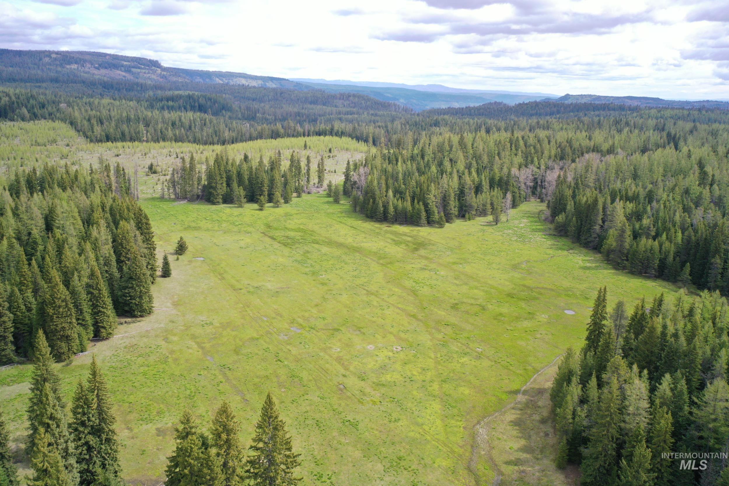 79250 Lookout Mountain Rd, Elgin, Oregon 97827, 6 Bedrooms, 3 Bathrooms, Farm & Ranch For Sale, Price $4,950,000, 98953660