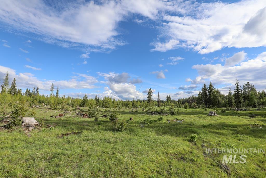 79250 Lookout Mountain Rd, Elgin, Oregon 97827, 6 Bedrooms, 3 Bathrooms, Farm & Ranch For Sale, Price $4,950,000, 98953660