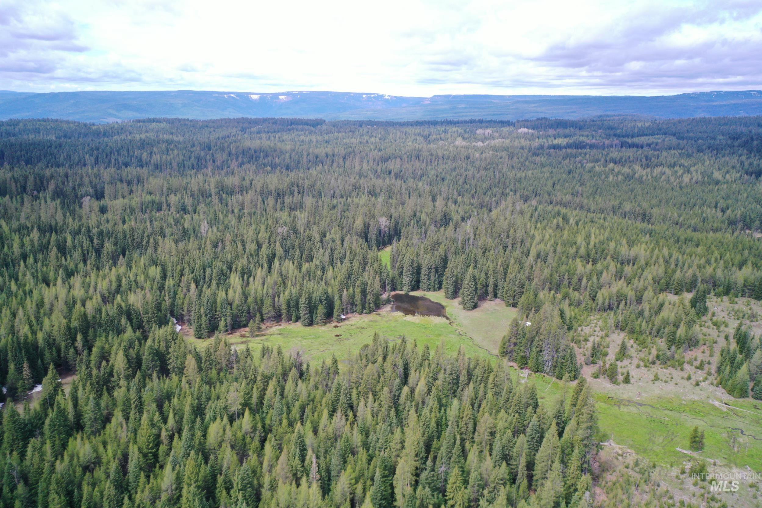 79250 Lookout Mountain Rd, Elgin, Oregon 97827, 6 Bedrooms, 3 Bathrooms, Farm & Ranch For Sale, Price $4,950,000, 98953660