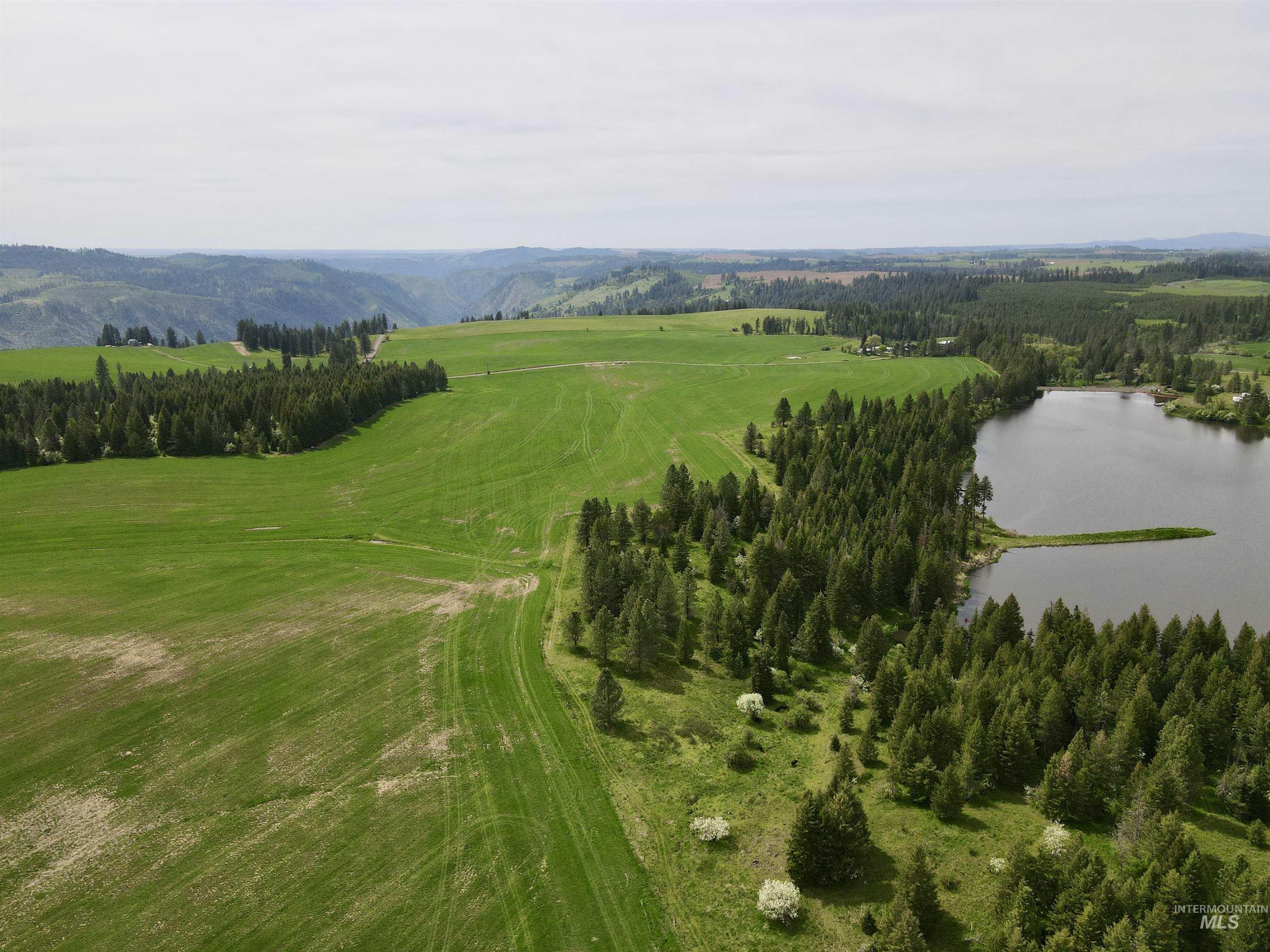 TBD 4 Mile Road, Weippe, Idaho 83553, Land For Sale, Price $3,500,000, 98953924