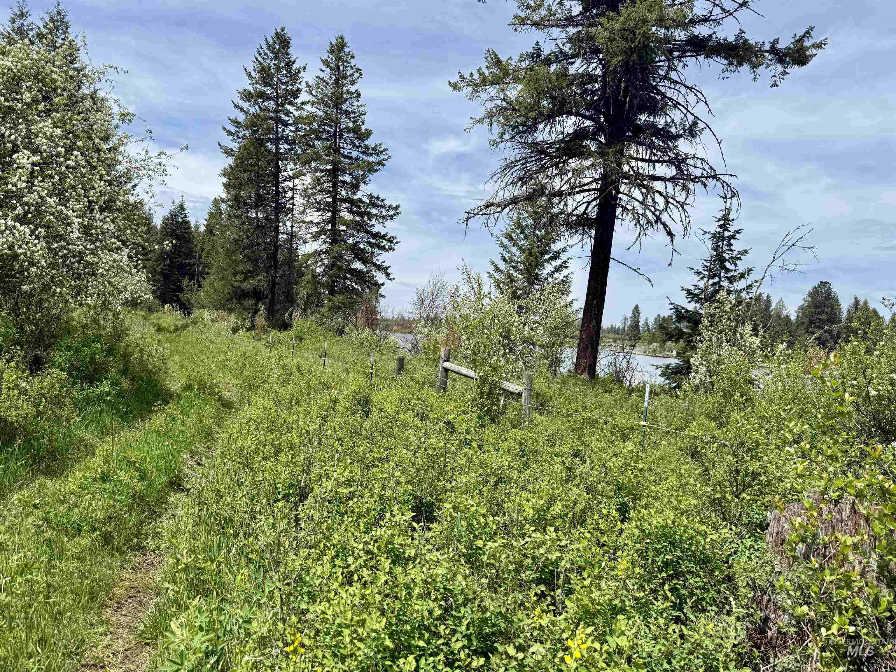 TBD 4 Mile Road, Weippe, Idaho 83553, Land For Sale, Price $3,500,000, 98953924