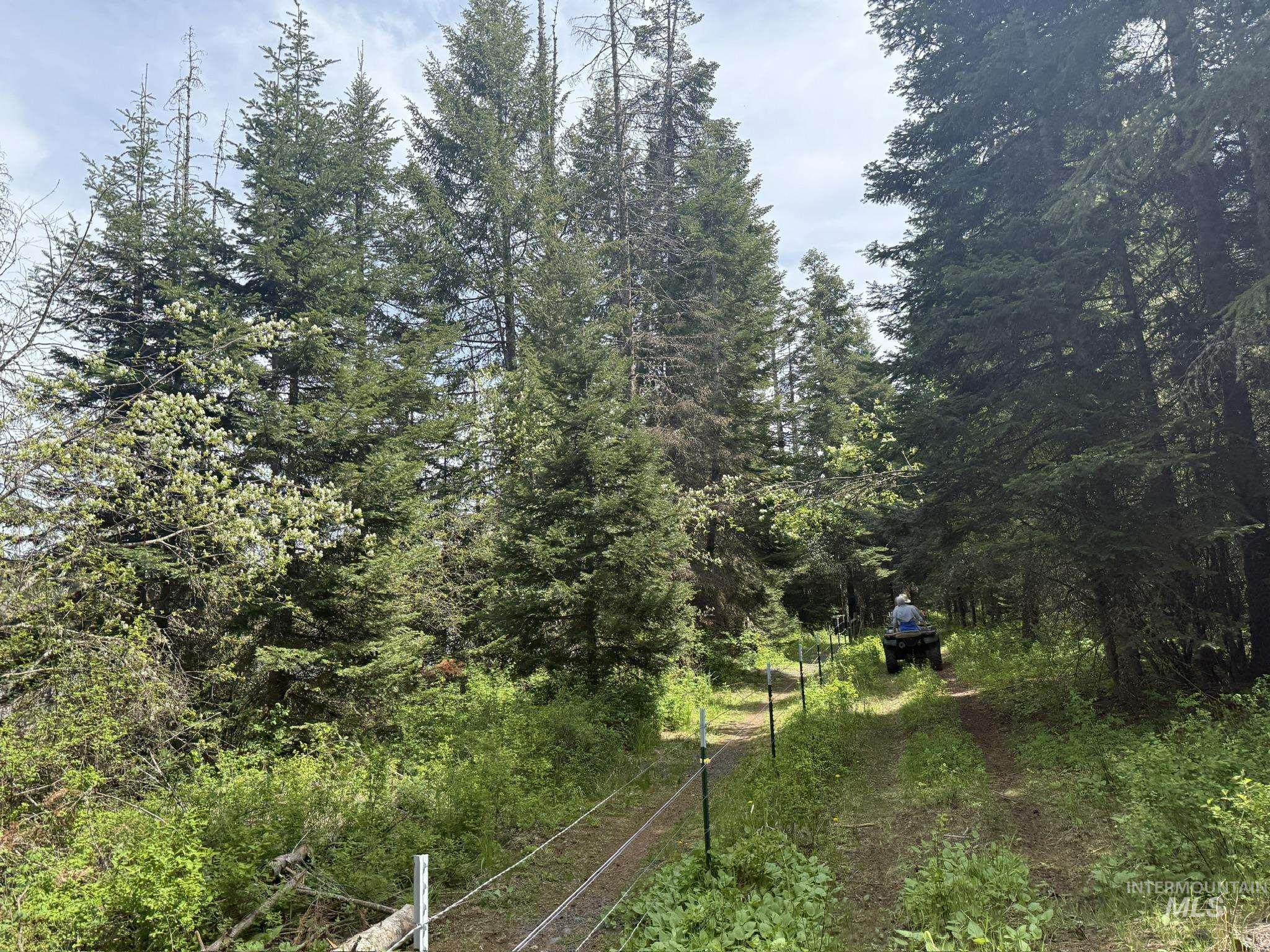 TBD 4 Mile Road, Weippe, Idaho 83553, Land For Sale, Price $3,500,000, 98953924