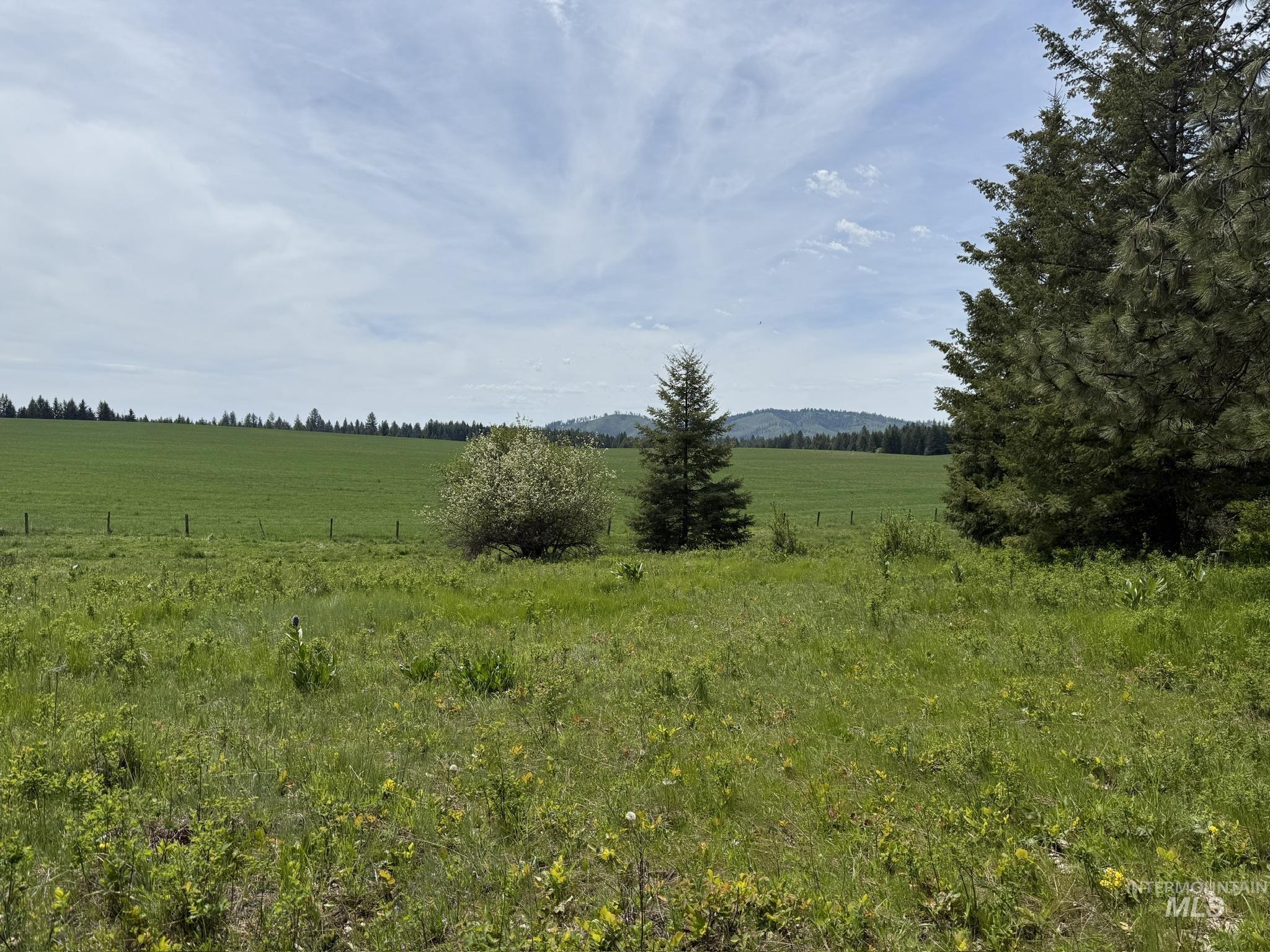 TBD 4 Mile Road, Weippe, Idaho 83553, Land For Sale, Price $3,500,000, 98953924