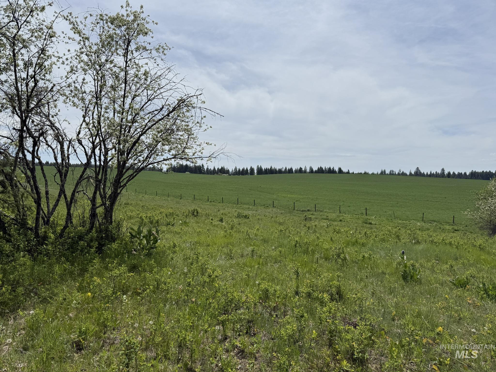 TBD 4 Mile Road, Weippe, Idaho 83553, Land For Sale, Price $3,500,000, 98953924