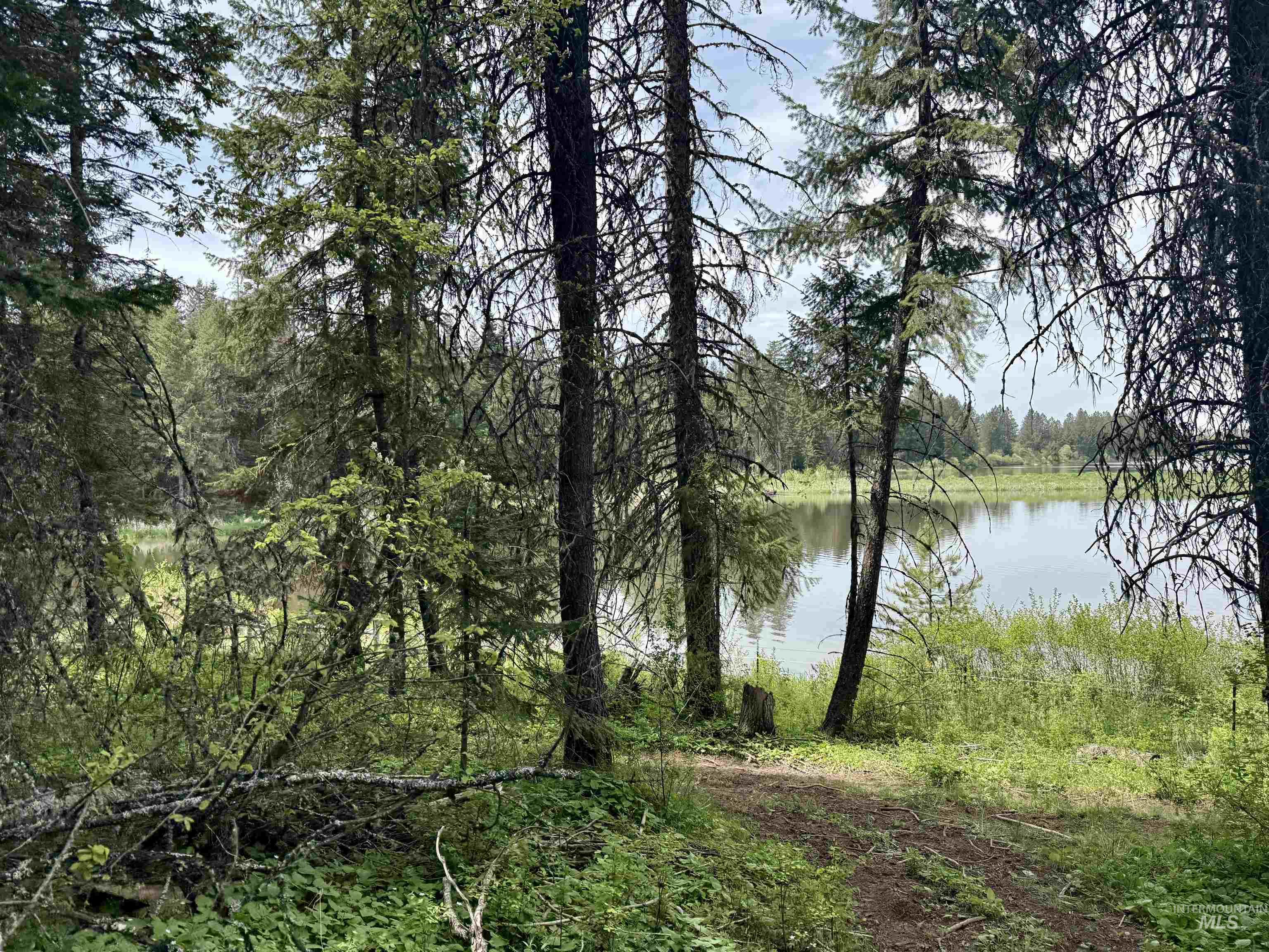 TBD 4 Mile Road, Weippe, Idaho 83553, Land For Sale, Price $3,500,000, 98953924