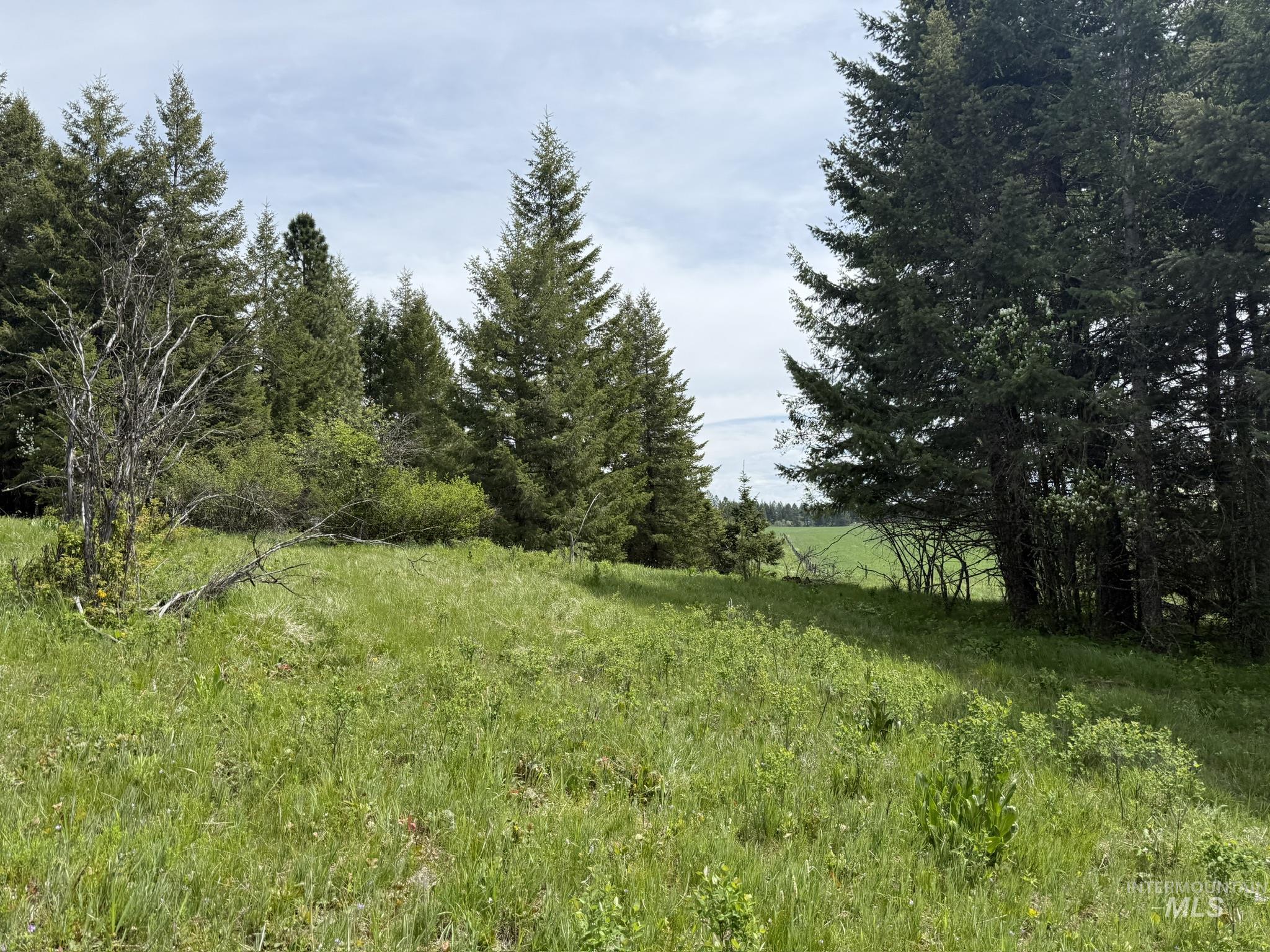 TBD 4 Mile Road, Weippe, Idaho 83553, Land For Sale, Price $3,500,000, 98953924