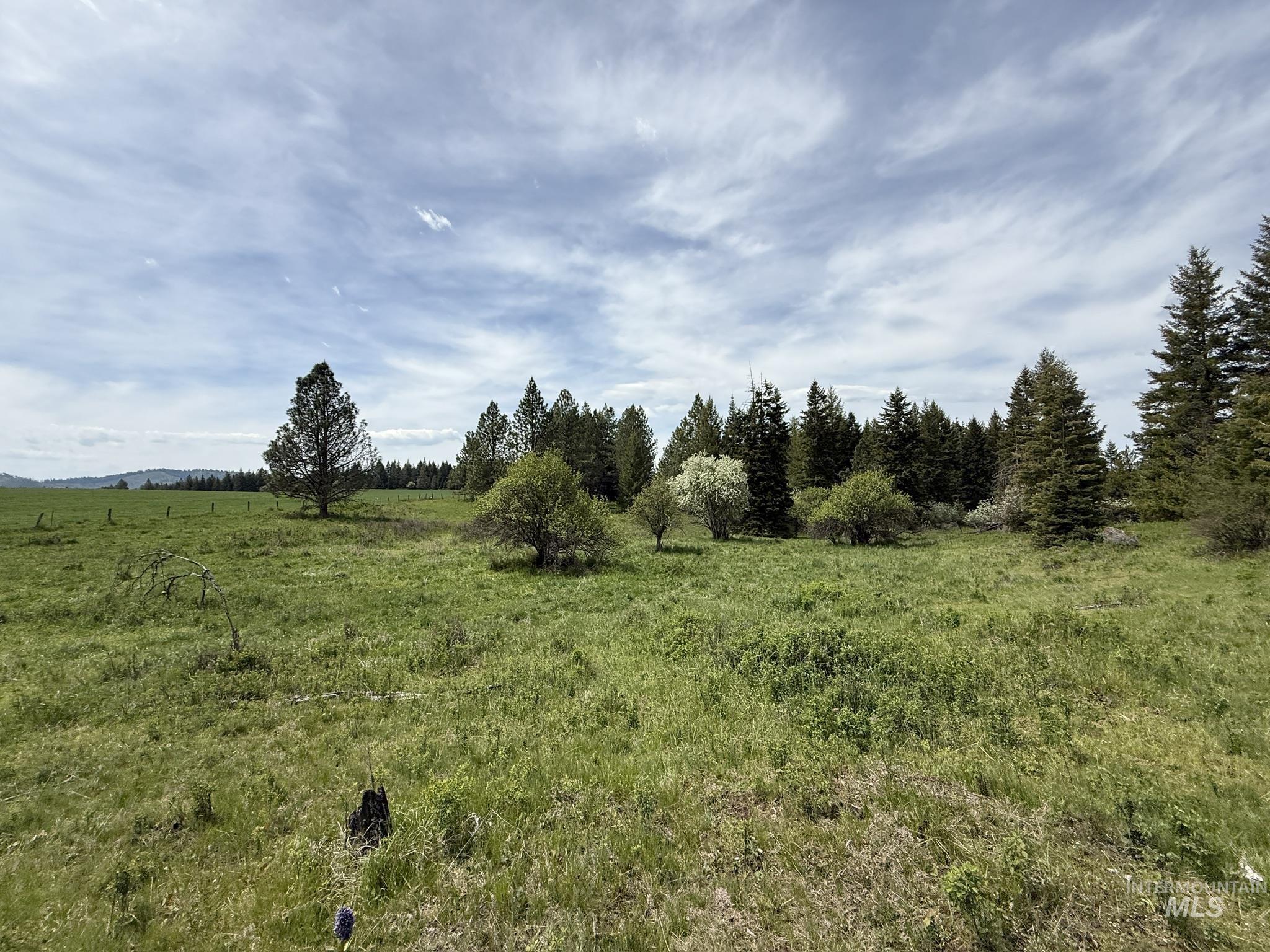 TBD 4 Mile Road, Weippe, Idaho 83553, Land For Sale, Price $3,500,000, 98953924