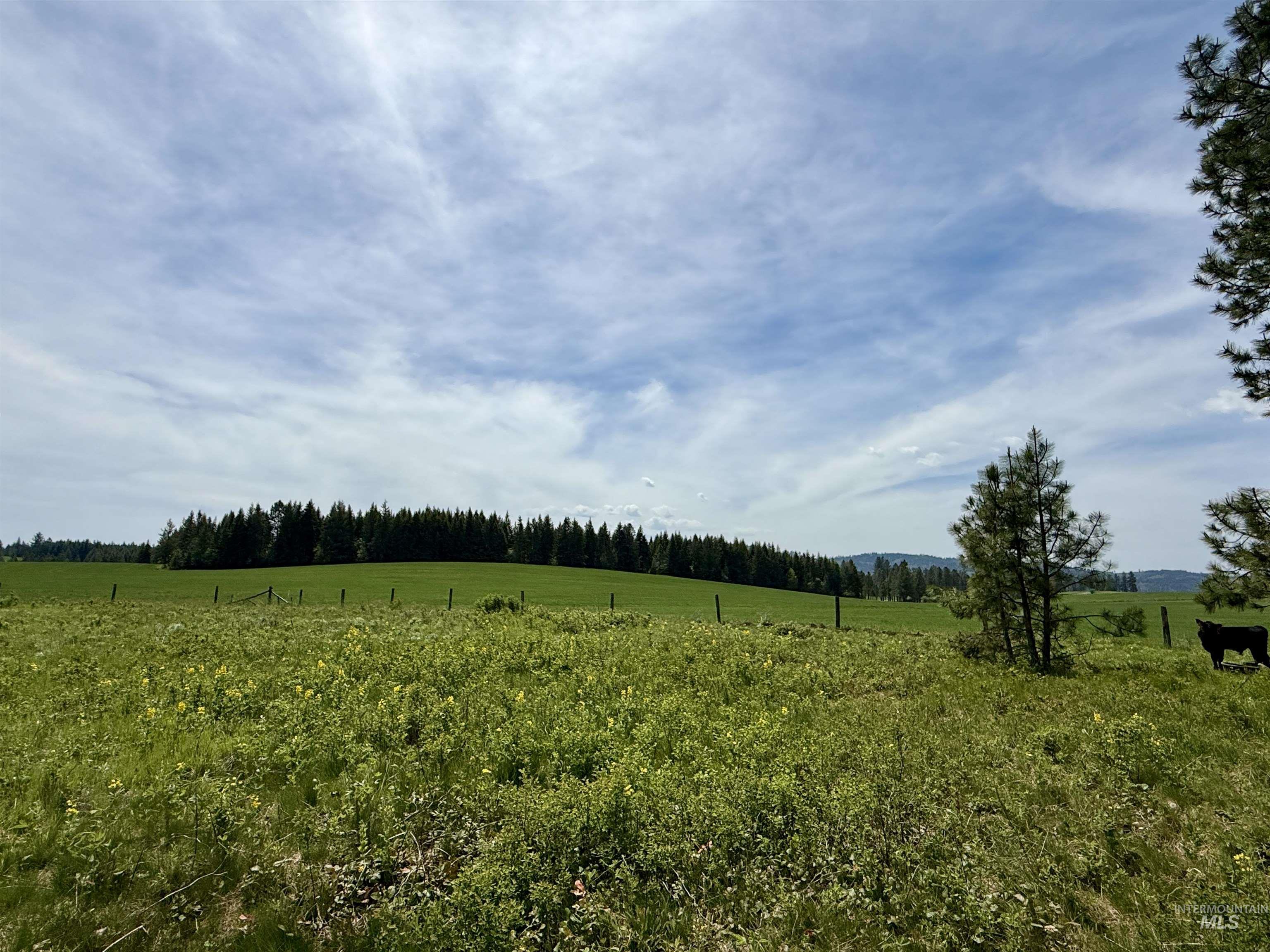 TBD 4 Mile Road, Weippe, Idaho 83553, Land For Sale, Price $3,500,000, 98953924