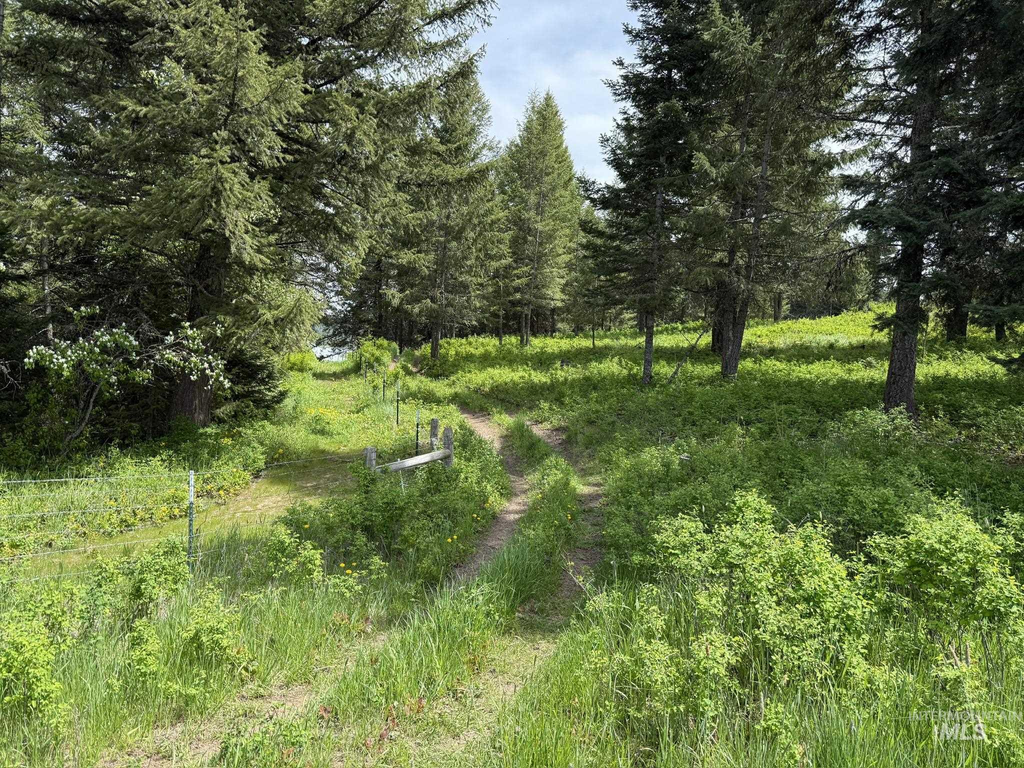 TBD 4 Mile Road, Weippe, Idaho 83553, Land For Sale, Price $3,500,000, 98953924