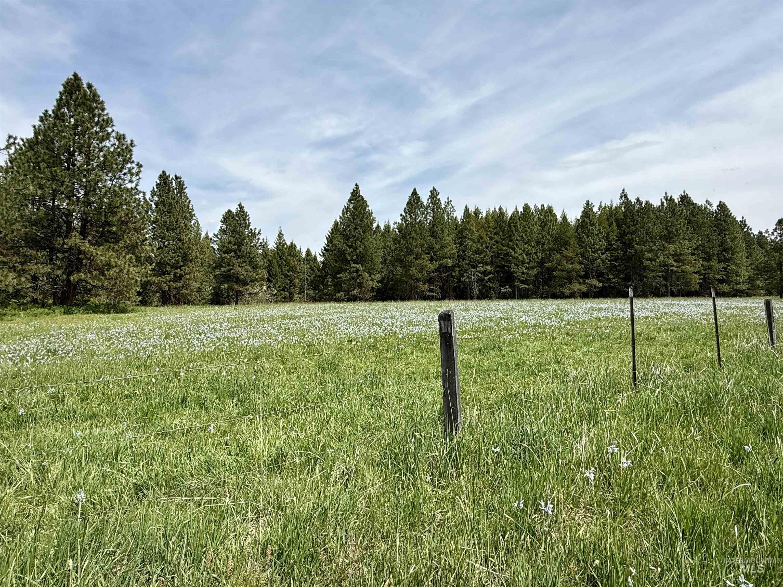 TBD 4 Mile Road, Weippe, Idaho 83553, Land For Sale, Price $3,500,000, 98953924