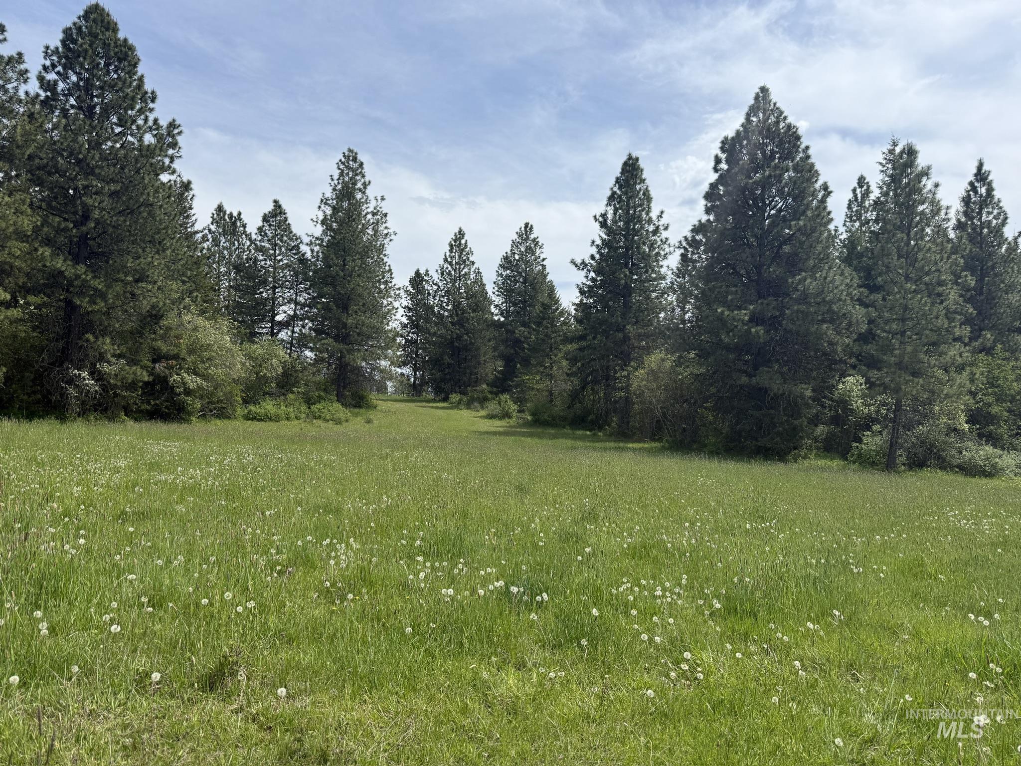 TBD 4 Mile Road, Weippe, Idaho 83553, Land For Sale, Price $3,500,000, 98953924