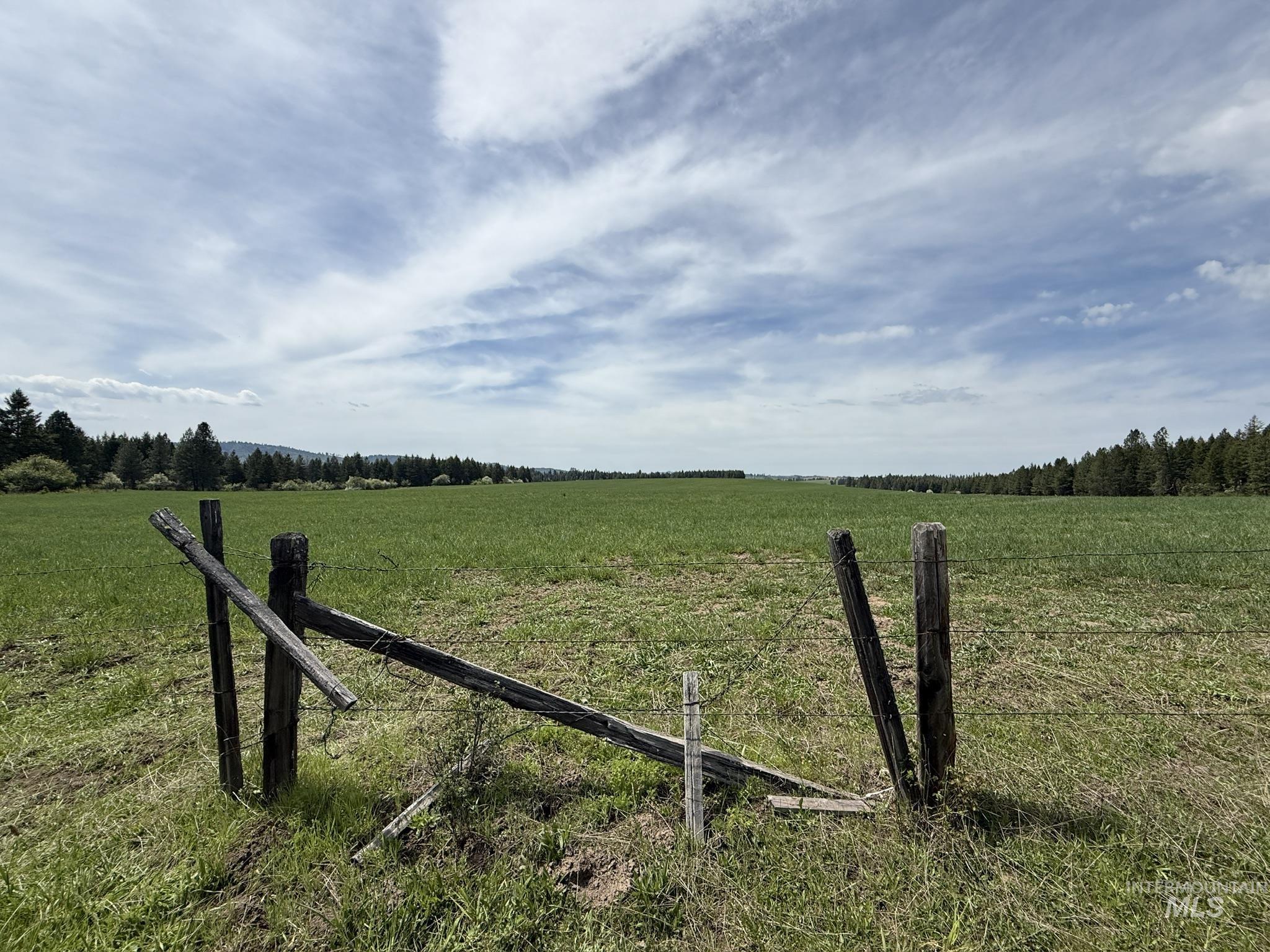 TBD 4 Mile Road, Weippe, Idaho 83553, Land For Sale, Price $3,500,000, 98953924