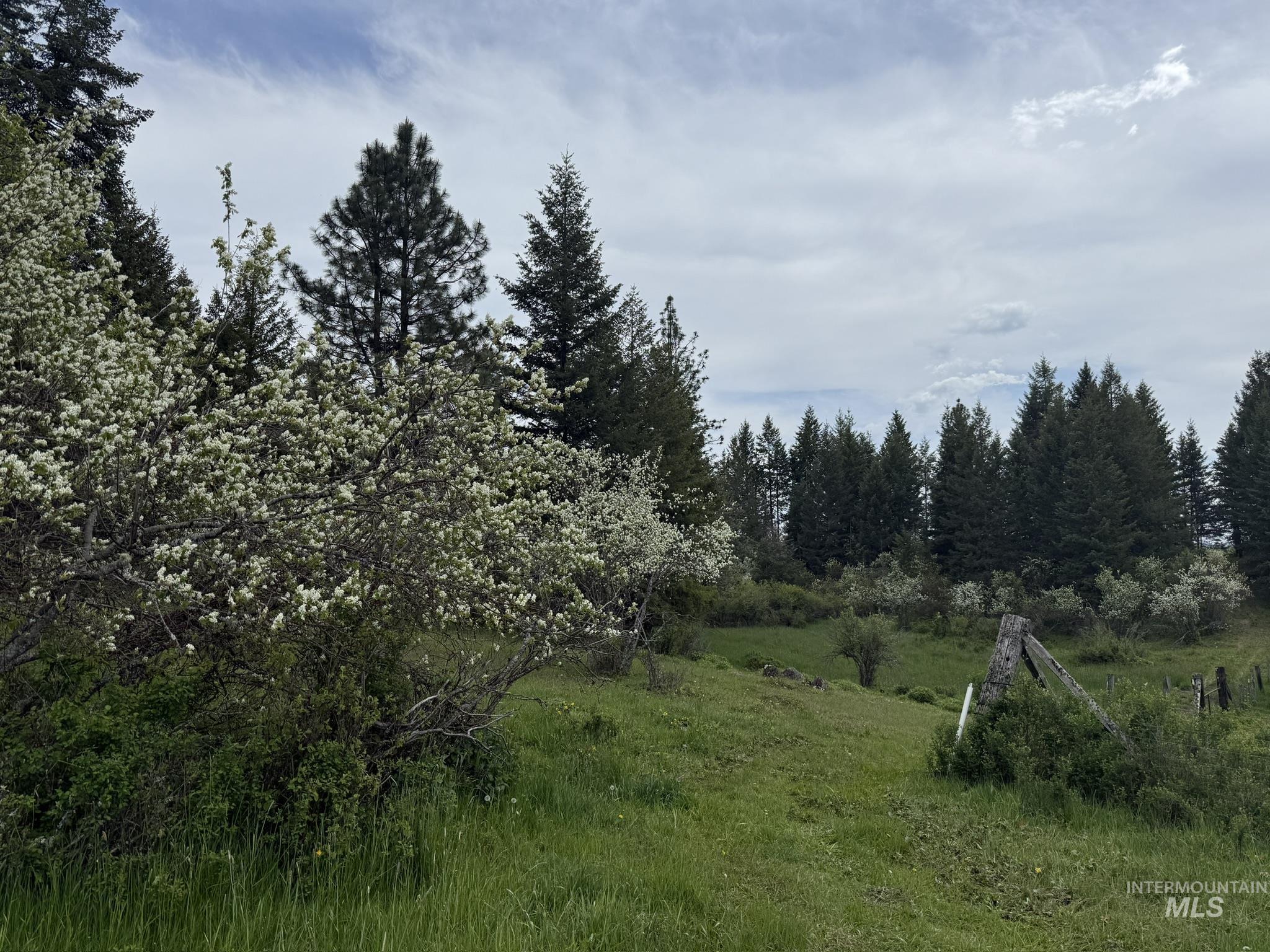 TBD 4 Mile Road, Weippe, Idaho 83553, Land For Sale, Price $3,500,000, 98953924