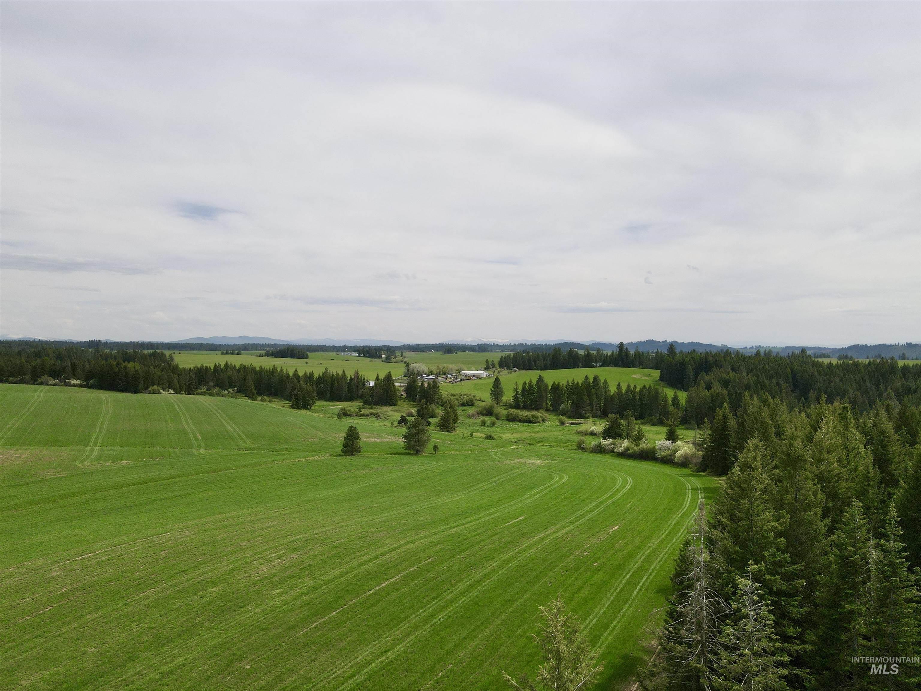 TBD 4 Mile Road, Weippe, Idaho 83553, Land For Sale, Price $3,500,000, 98953924