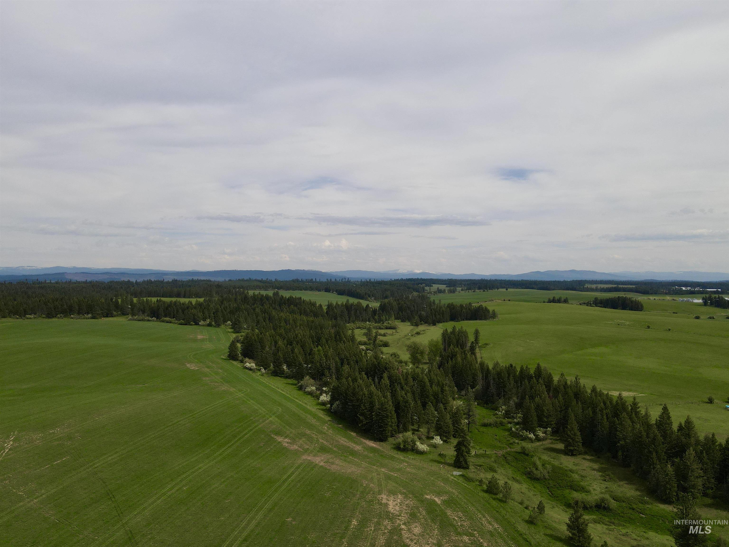 TBD 4 Mile Road, Weippe, Idaho 83553, Land For Sale, Price $3,500,000, 98953924