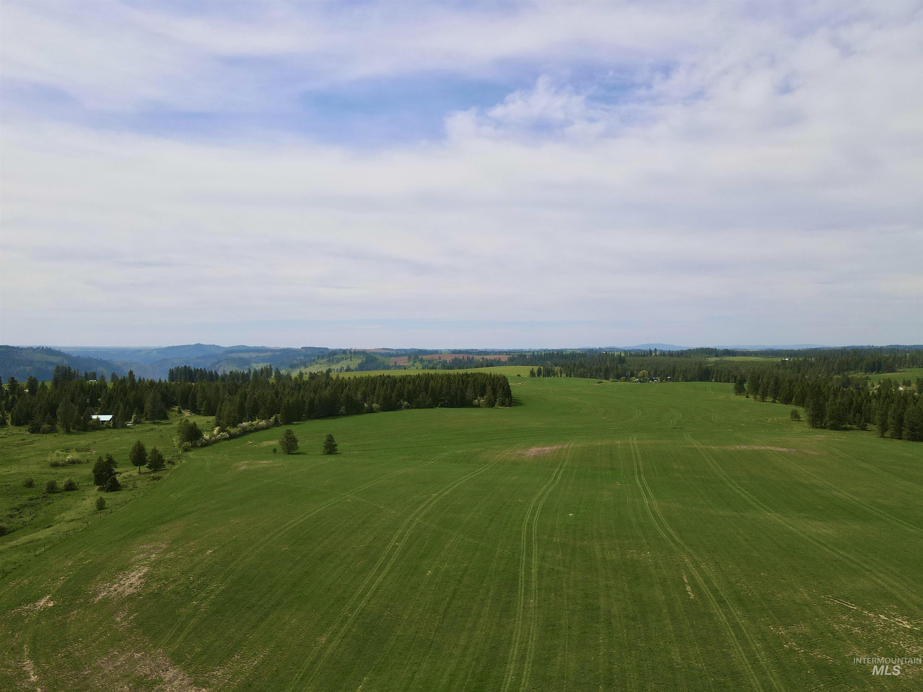 TBD 4 Mile Road, Weippe, Idaho 83553, Land For Sale, Price $3,500,000, 98953924
