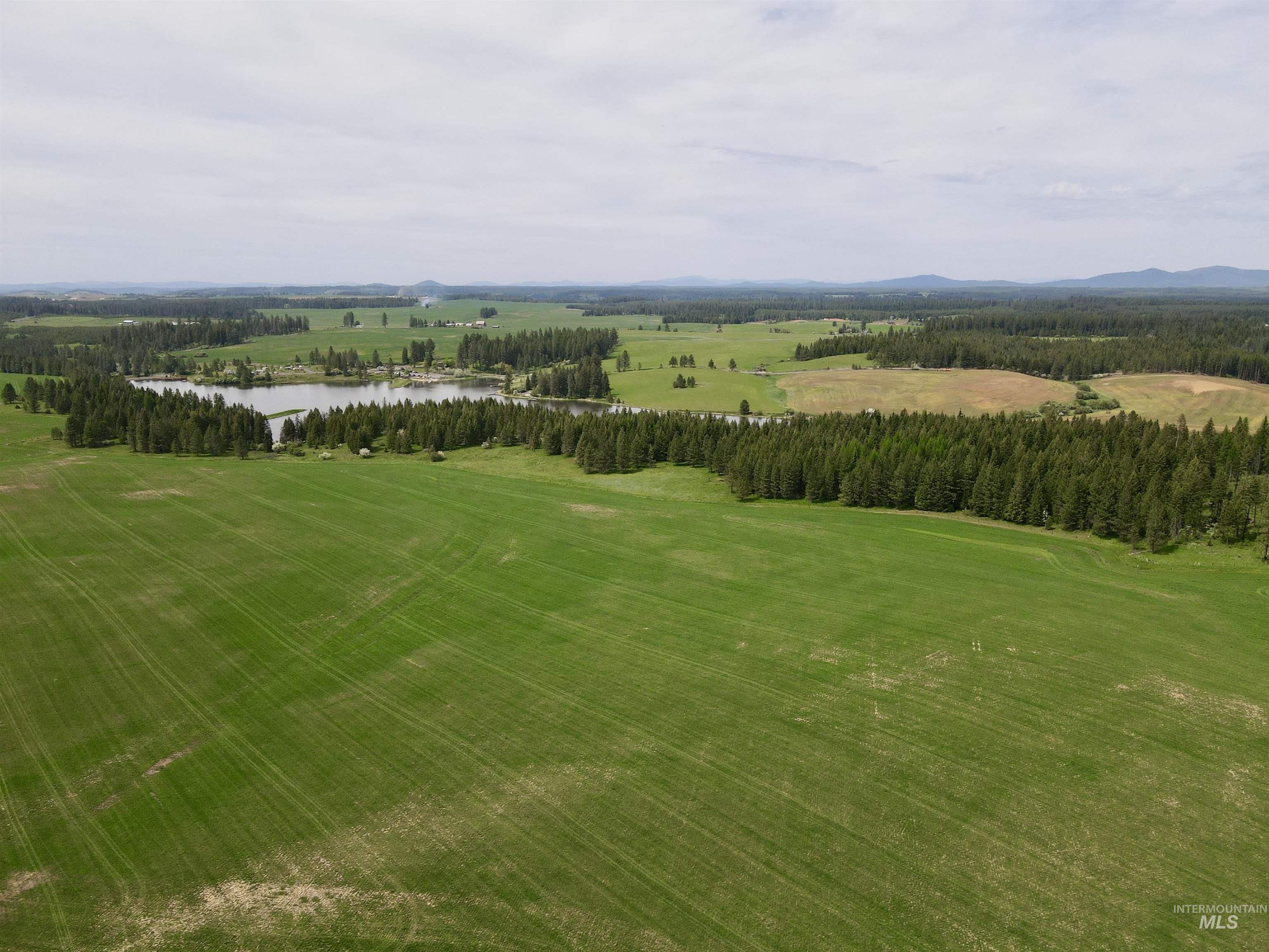 TBD 4 Mile Road, Weippe, Idaho 83553, Land For Sale, Price $3,500,000, 98953924