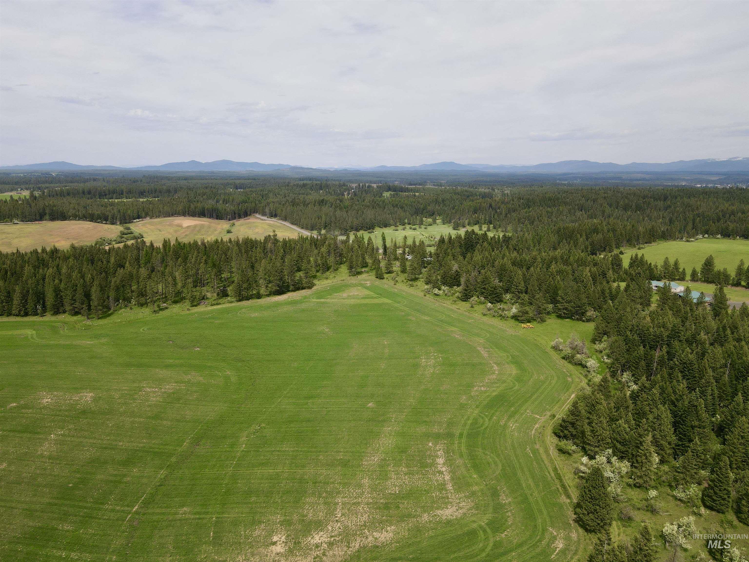 TBD 4 Mile Road, Weippe, Idaho 83553, Land For Sale, Price $3,500,000, 98953924