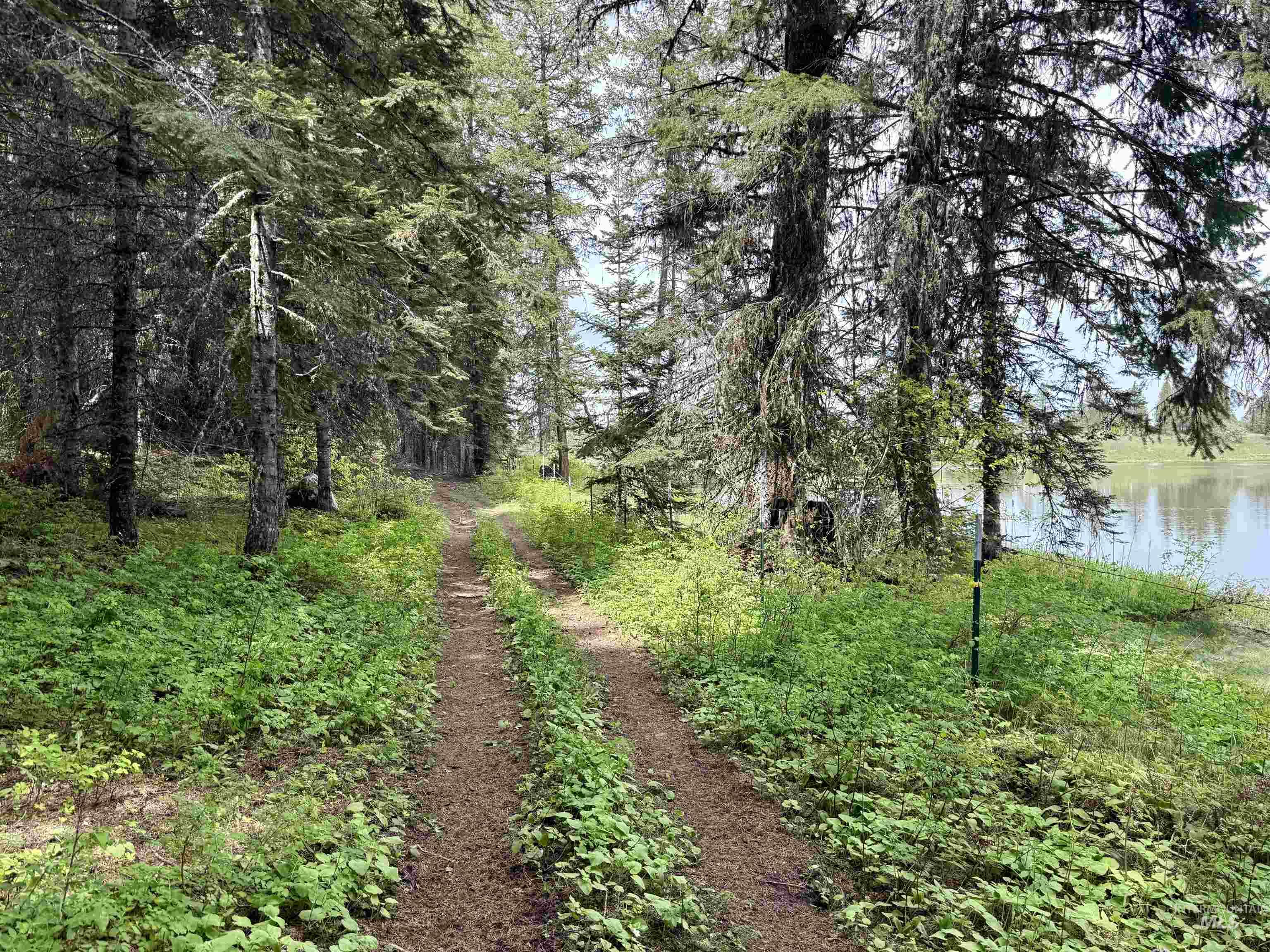 TBD 4 Mile Road, Weippe, Idaho 83553, Land For Sale, Price $3,500,000, 98953924