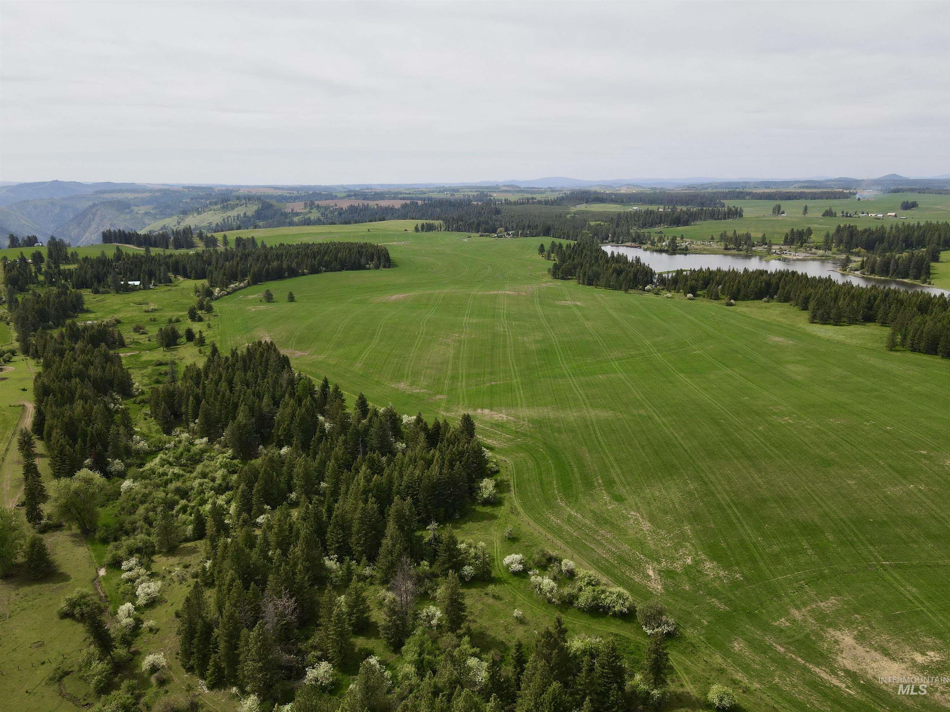 TBD 4 Mile Road, Weippe, Idaho 83553, Land For Sale, Price $3,500,000, 98953924