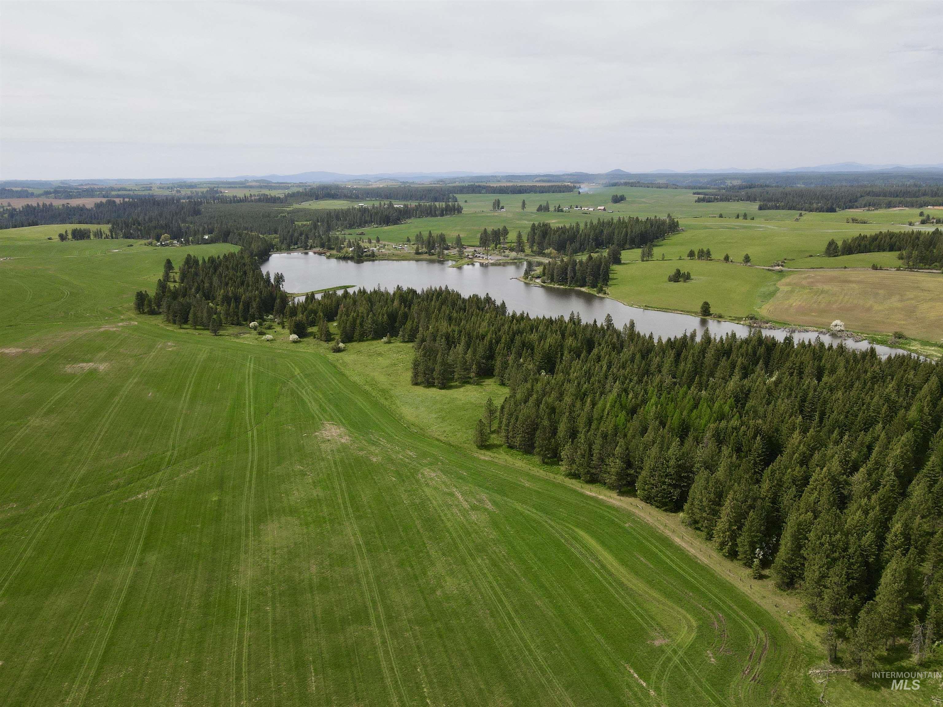 TBD 4 Mile Road, Weippe, Idaho 83553, Land For Sale, Price $3,500,000, 98953924
