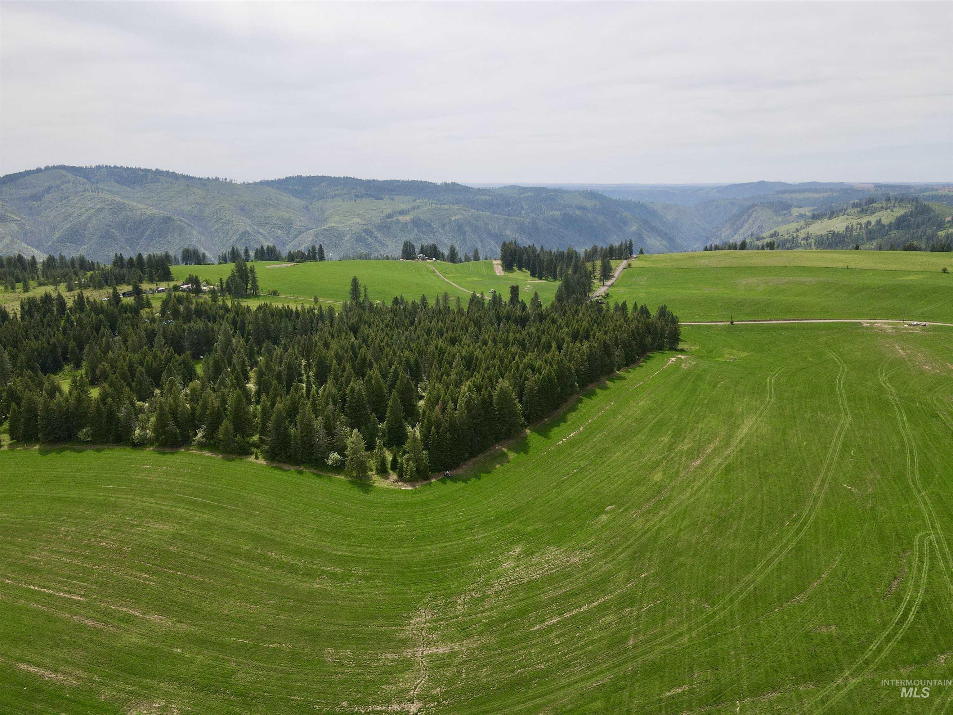 TBD 4 Mile Road, Weippe, Idaho 83553, Land For Sale, Price $3,500,000, 98953924