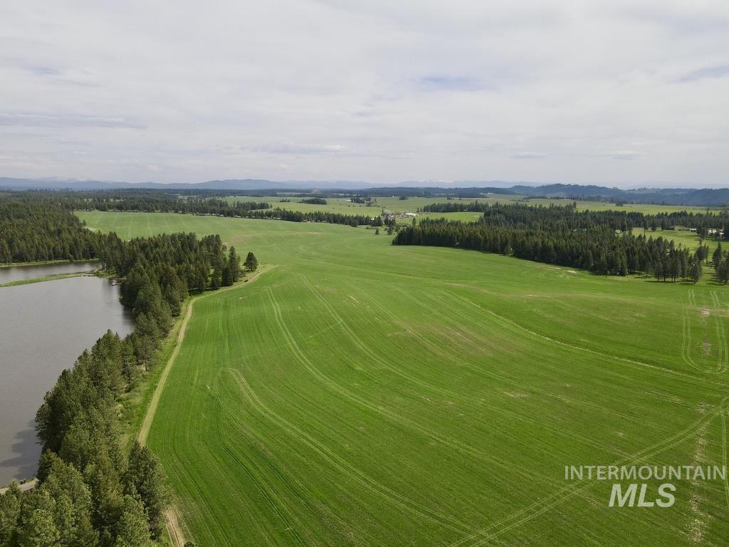 TBD 4 Mile Road, Weippe, Idaho 83553, Land For Sale, Price $3,500,000, 98953924