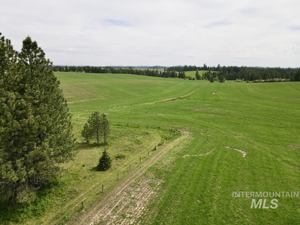 TBD 4 Mile Road, Weippe, Idaho 83553, Land For Sale, Price $3,500,000, 98953924