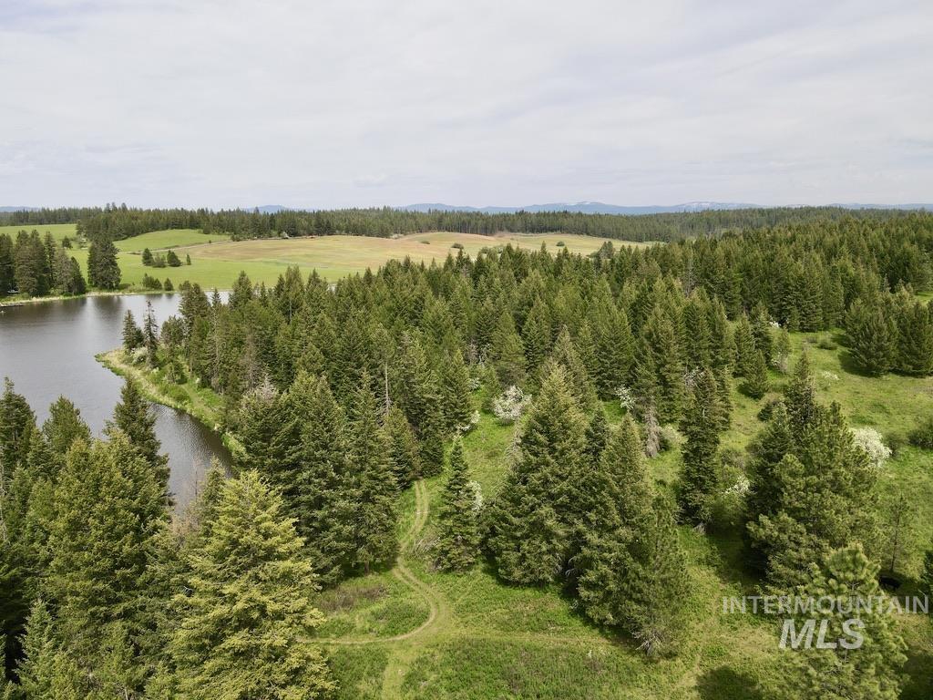 TBD 4 Mile Road, Weippe, Idaho 83553, Land For Sale, Price $3,500,000, 98953924