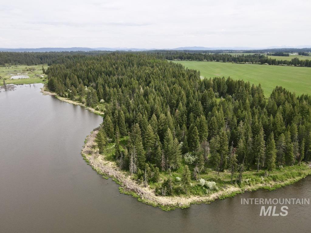 TBD 4 Mile Road, Weippe, Idaho 83553, Land For Sale, Price $3,500,000, 98953924