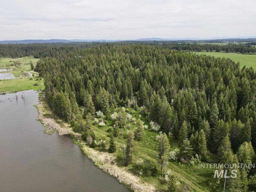 TBD 4 Mile Road, Weippe, Idaho 83553, Land For Sale, Price $3,500,000, 98953924