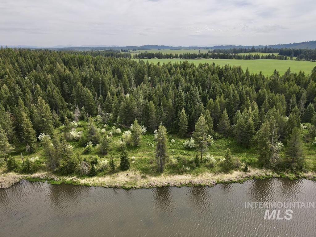 TBD 4 Mile Road, Weippe, Idaho 83553, Land For Sale, Price $3,500,000, 98953924