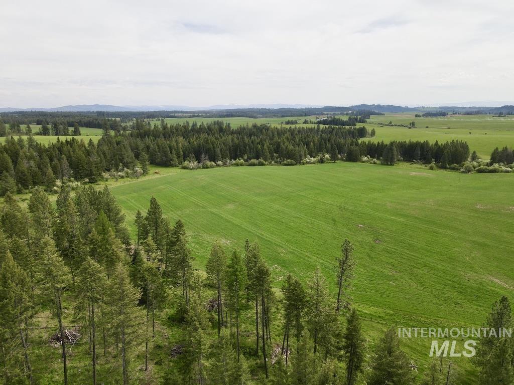 TBD 4 Mile Road, Weippe, Idaho 83553, Land For Sale, Price $3,500,000, 98953924