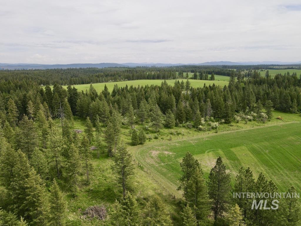 TBD 4 Mile Road, Weippe, Idaho 83553, Land For Sale, Price $3,500,000, 98953924