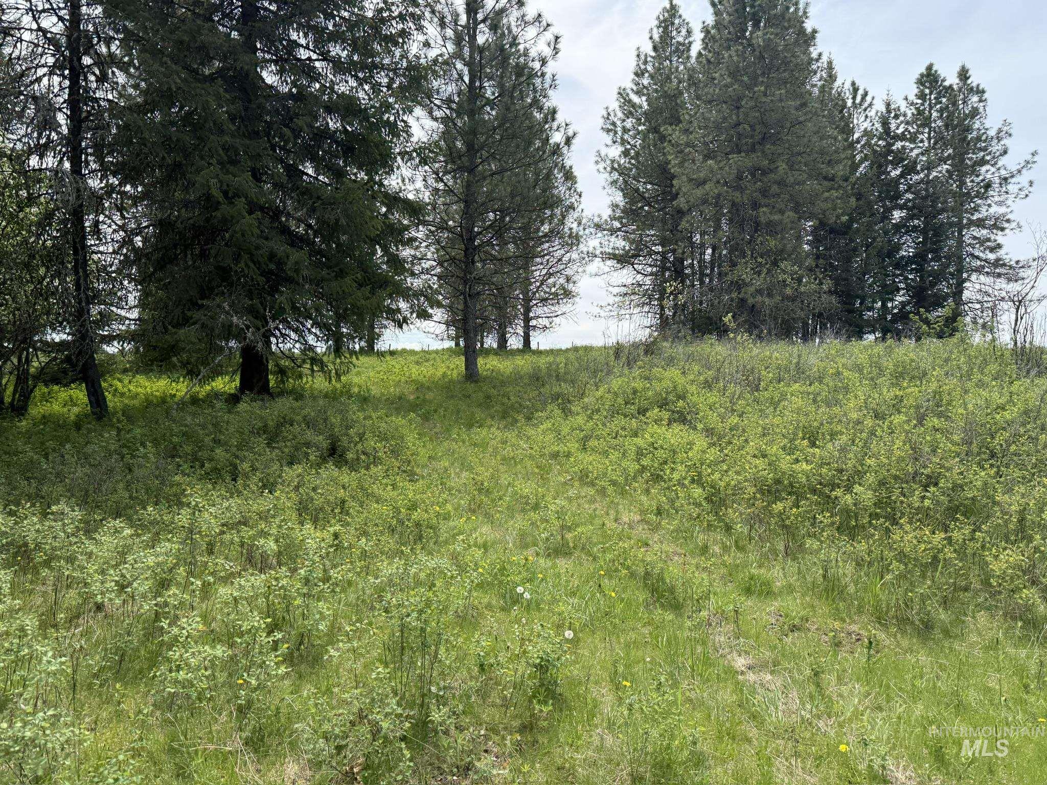TBD 4 Mile Road, Weippe, Idaho 83553, Land For Sale, Price $3,500,000, 98953924