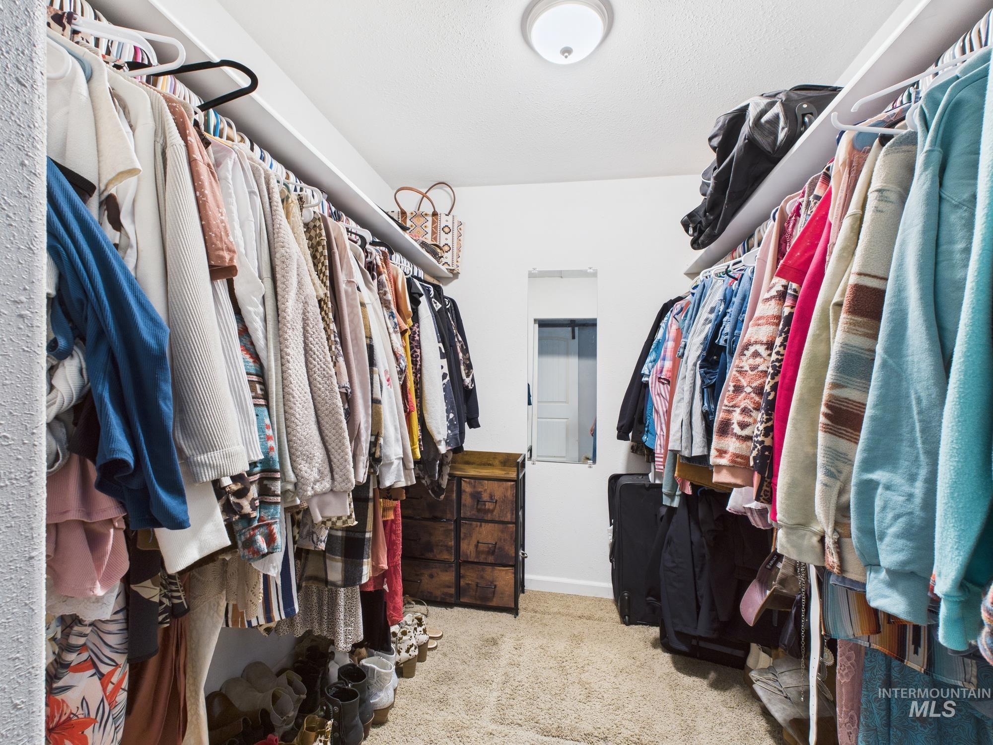 Walk in closet with carpet flooring