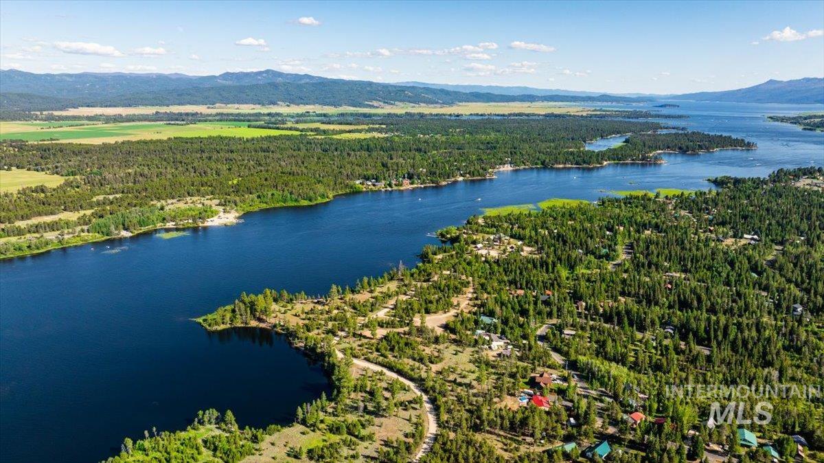 Aerial view of a forest and a water and mountain view