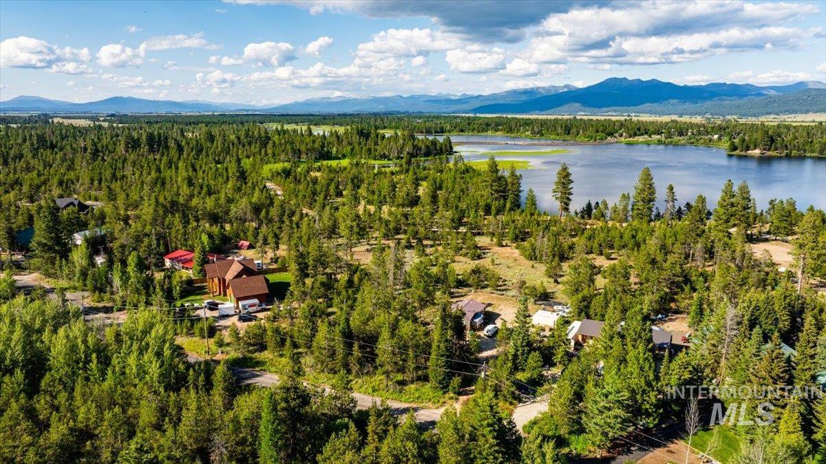 Bird\'s eye view of a forest and a water and mountain view