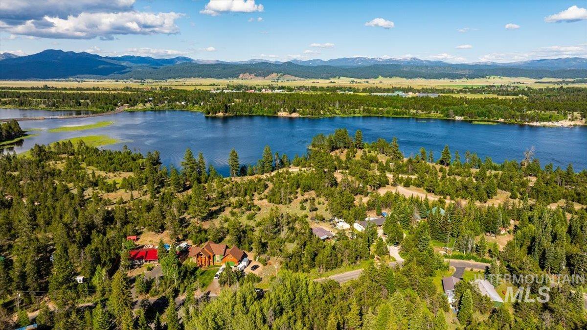 Drone / aerial view of a water and mountain view and a forest
